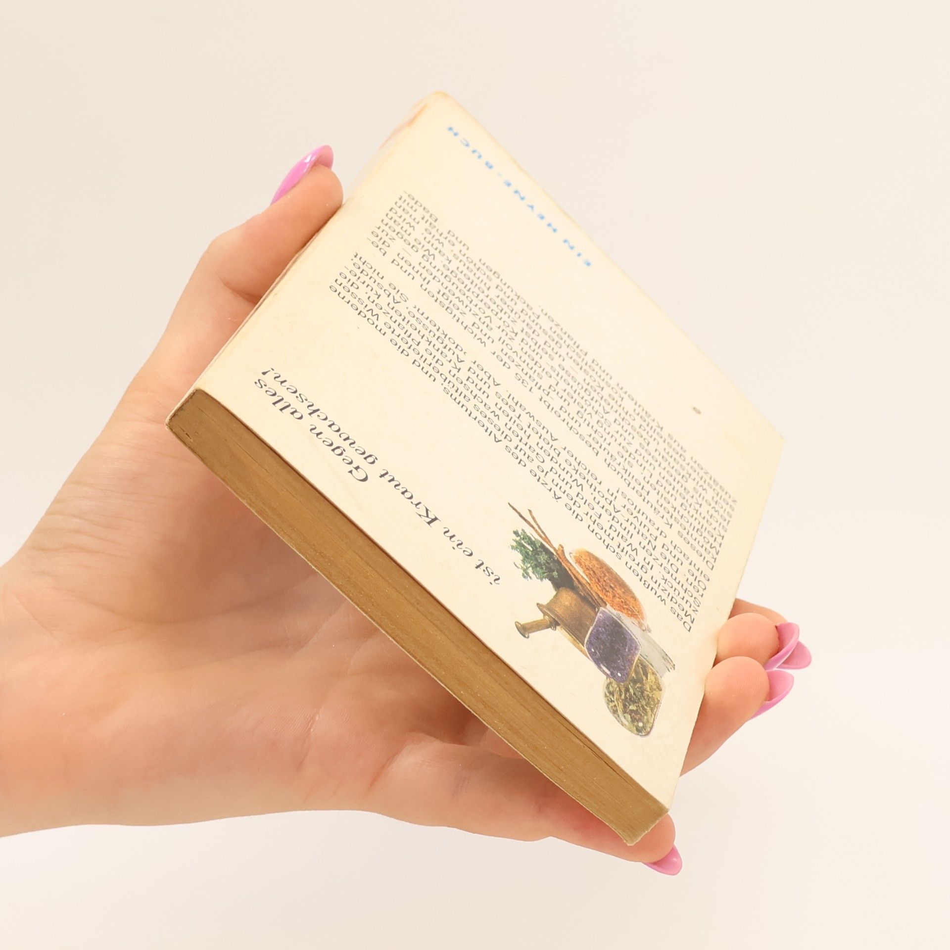Eva Trauter Das Heyne Kräuterbuch