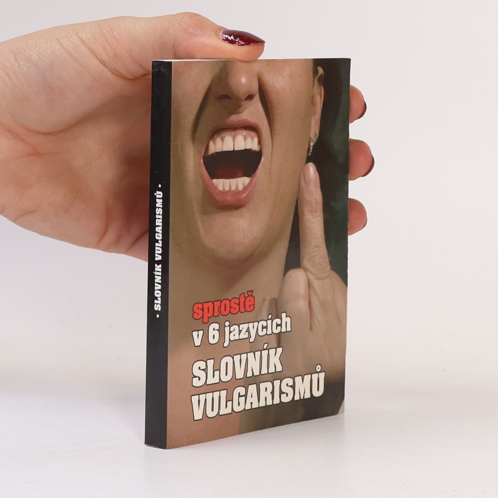 Kryštof Bajger Slovník vulgarismů : sprostě v 6 jazycích