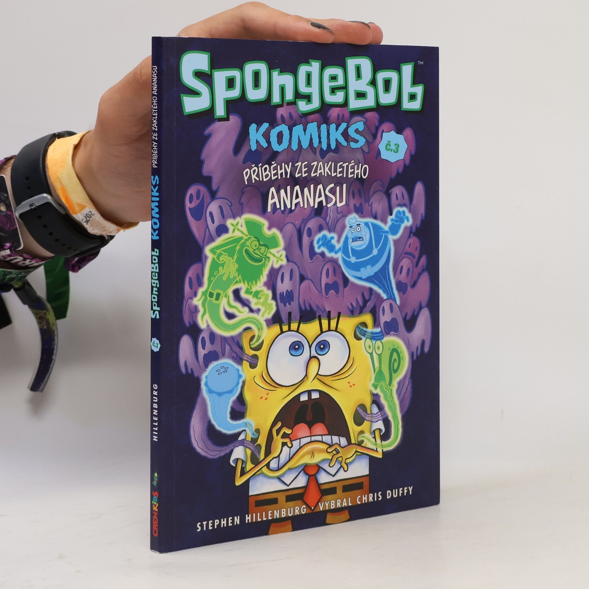 Stephen Hillenburg SpongeBob : komiks. Č. 3, Příběhy ze zakletého ananasu