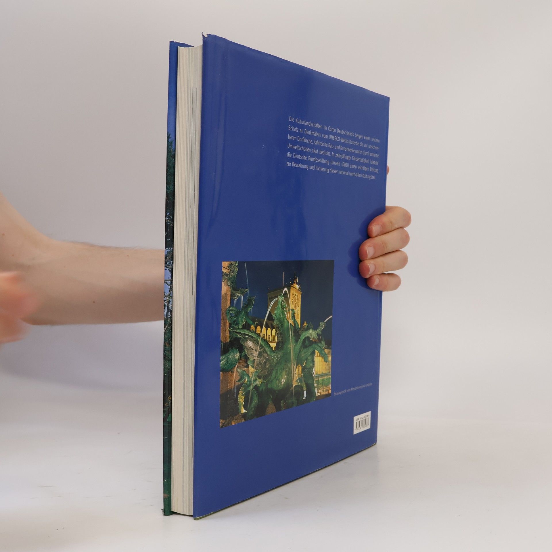 Fritz Brickwedde Umwelt, Kultur, Schutz