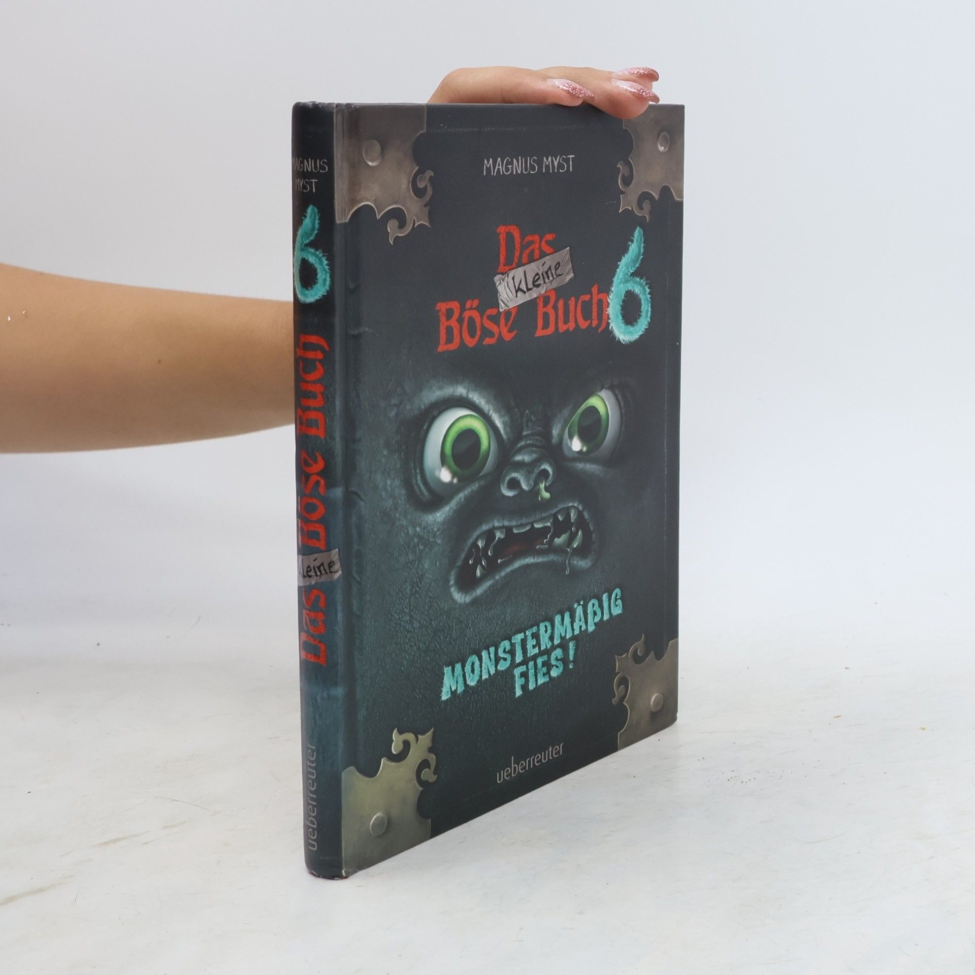 Das kleine Böse Buch 6 (Das kleine Böse Buch, Bd. 6)