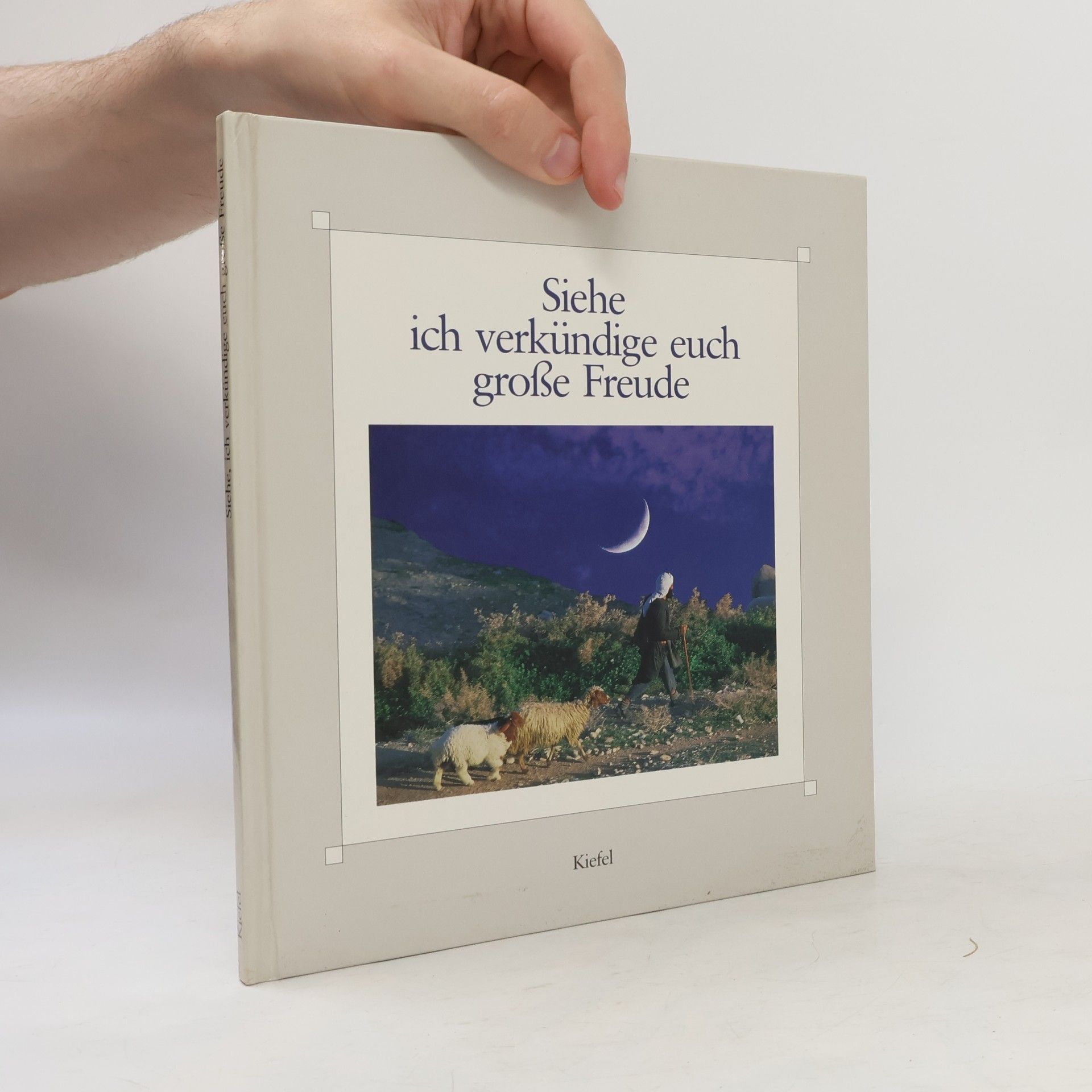 Collectif d'auteurs Siehe, ich verkündige euch grosse Freude