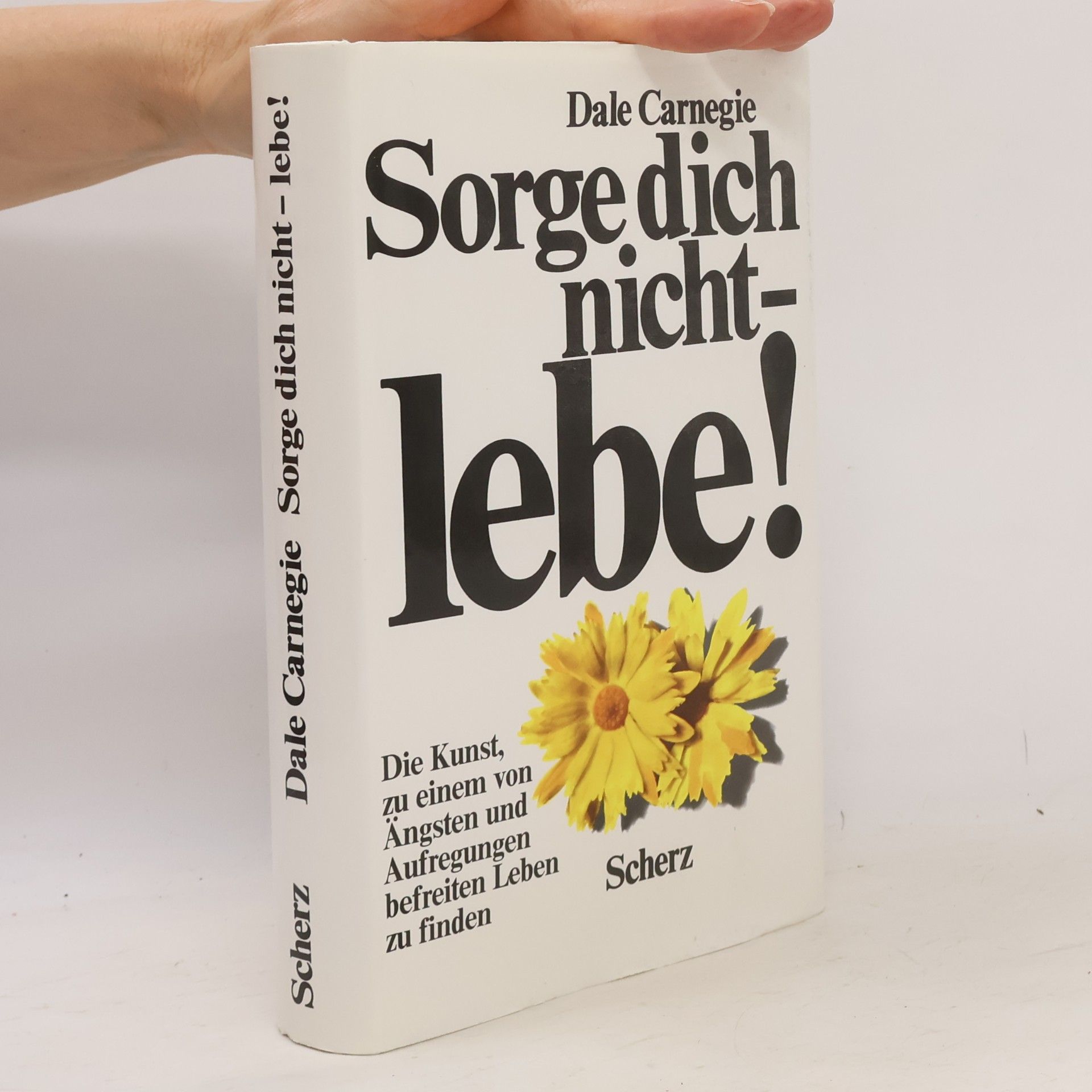 Dale Carnegie Sorge dich nicht - lebe!