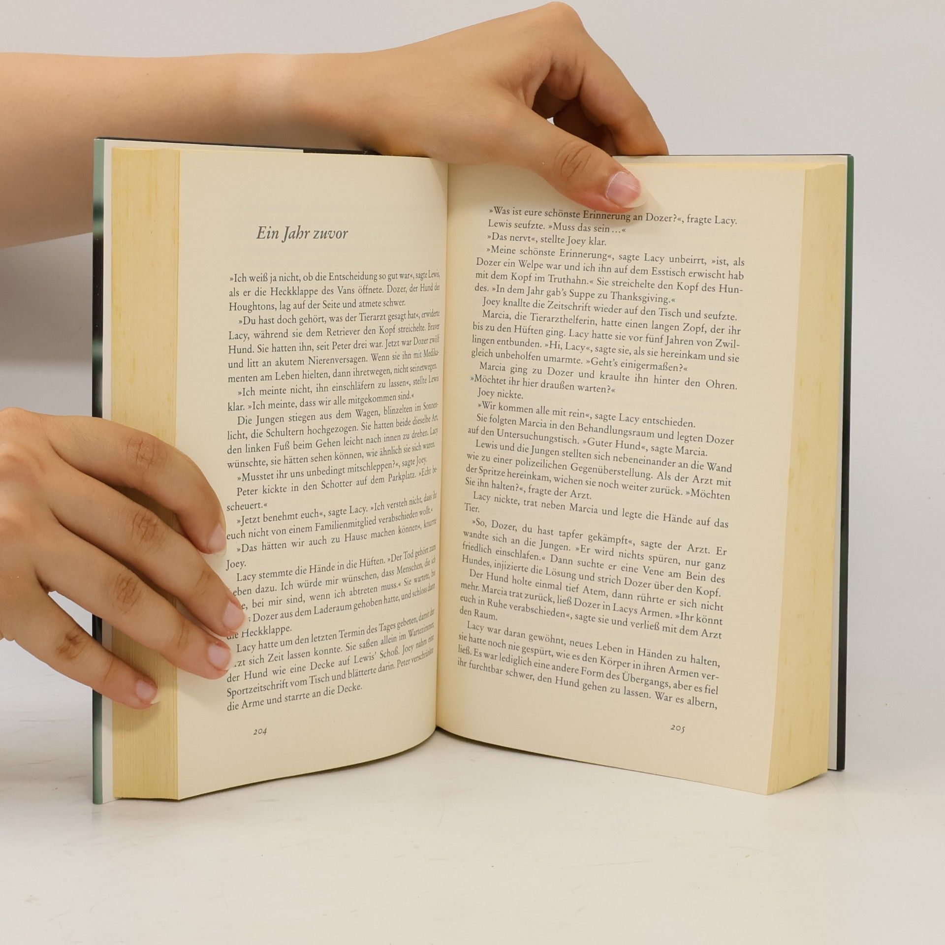 Jodi Picoult Neunzeh Minuten
