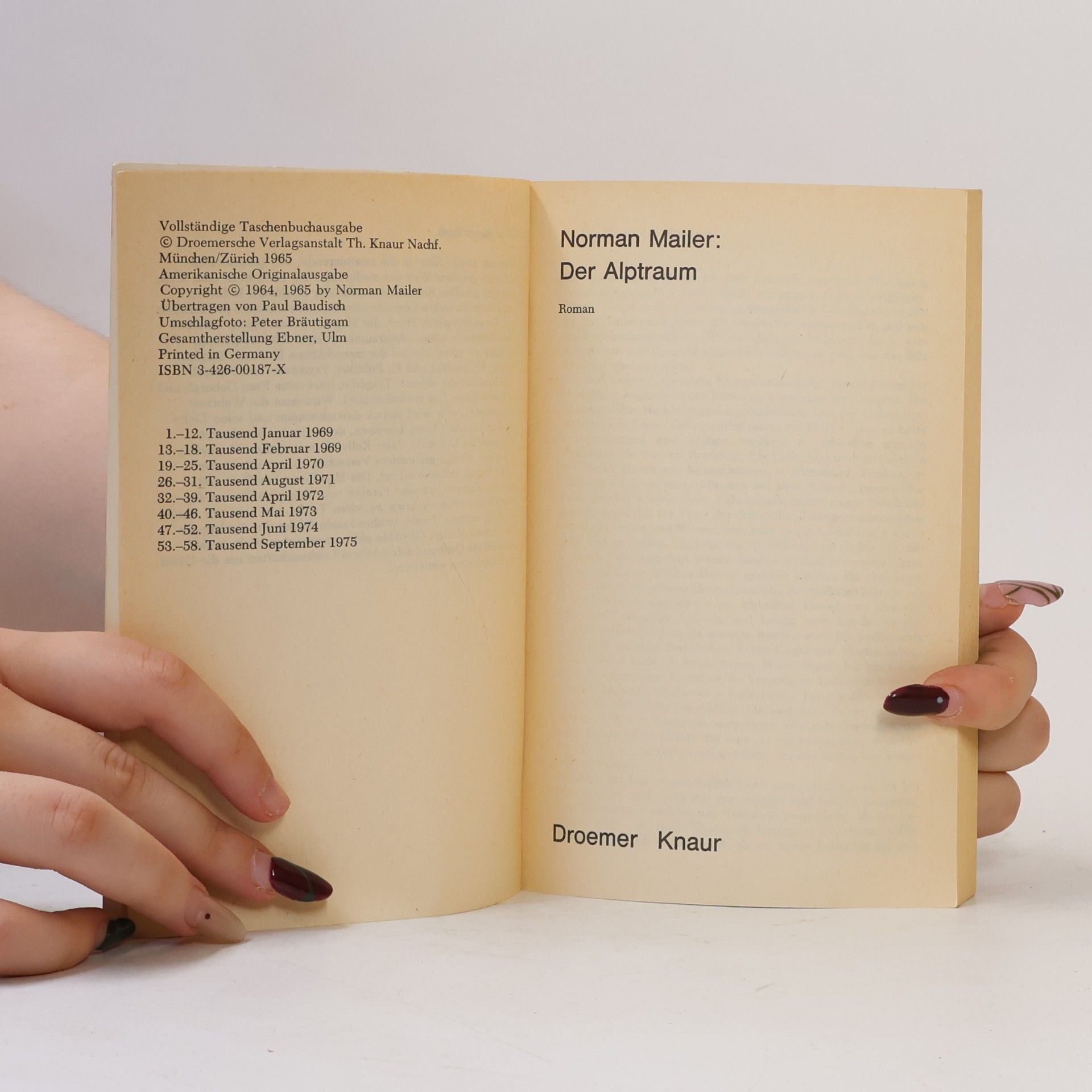 Norman Mailer Der Alptraum