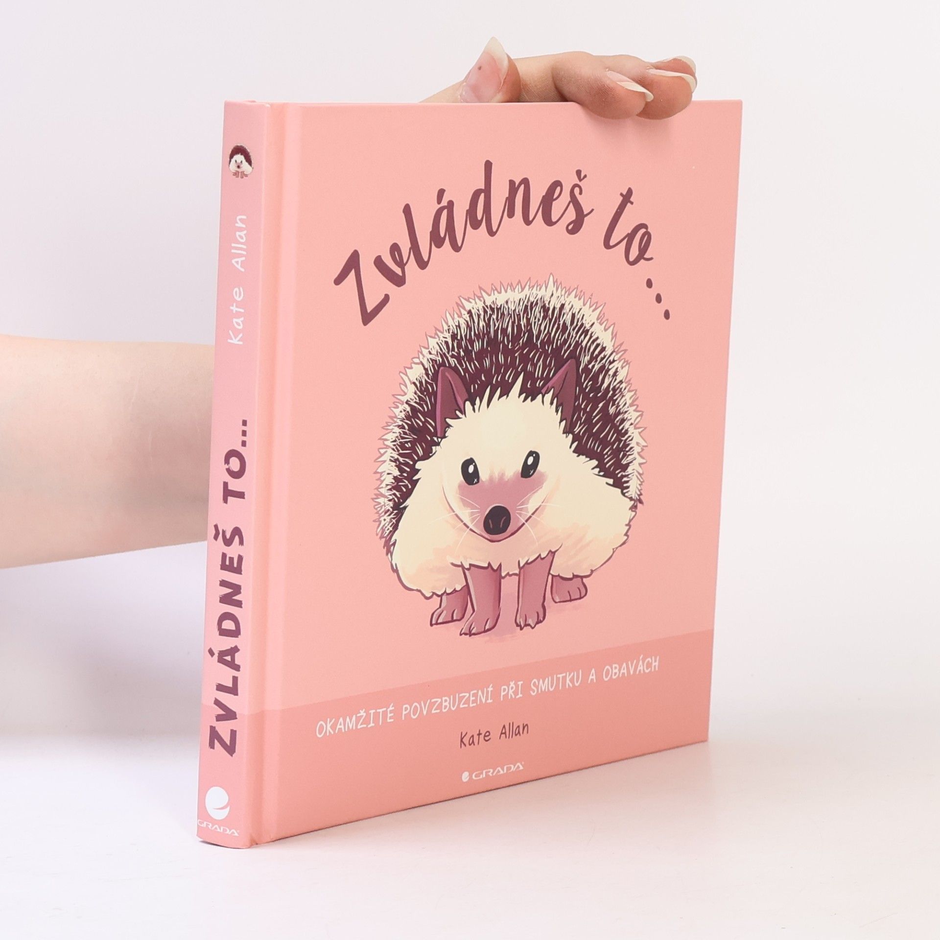 Kate Allan Zvládneš to... Okamžité povzbuzení při smutku a obavách