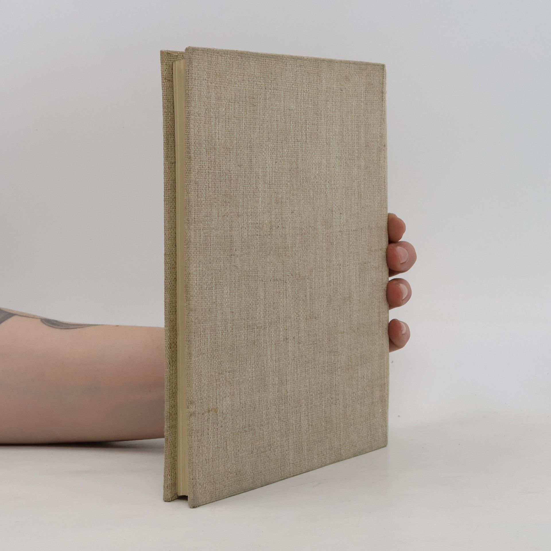 Autores varios Pražskou minulostí I