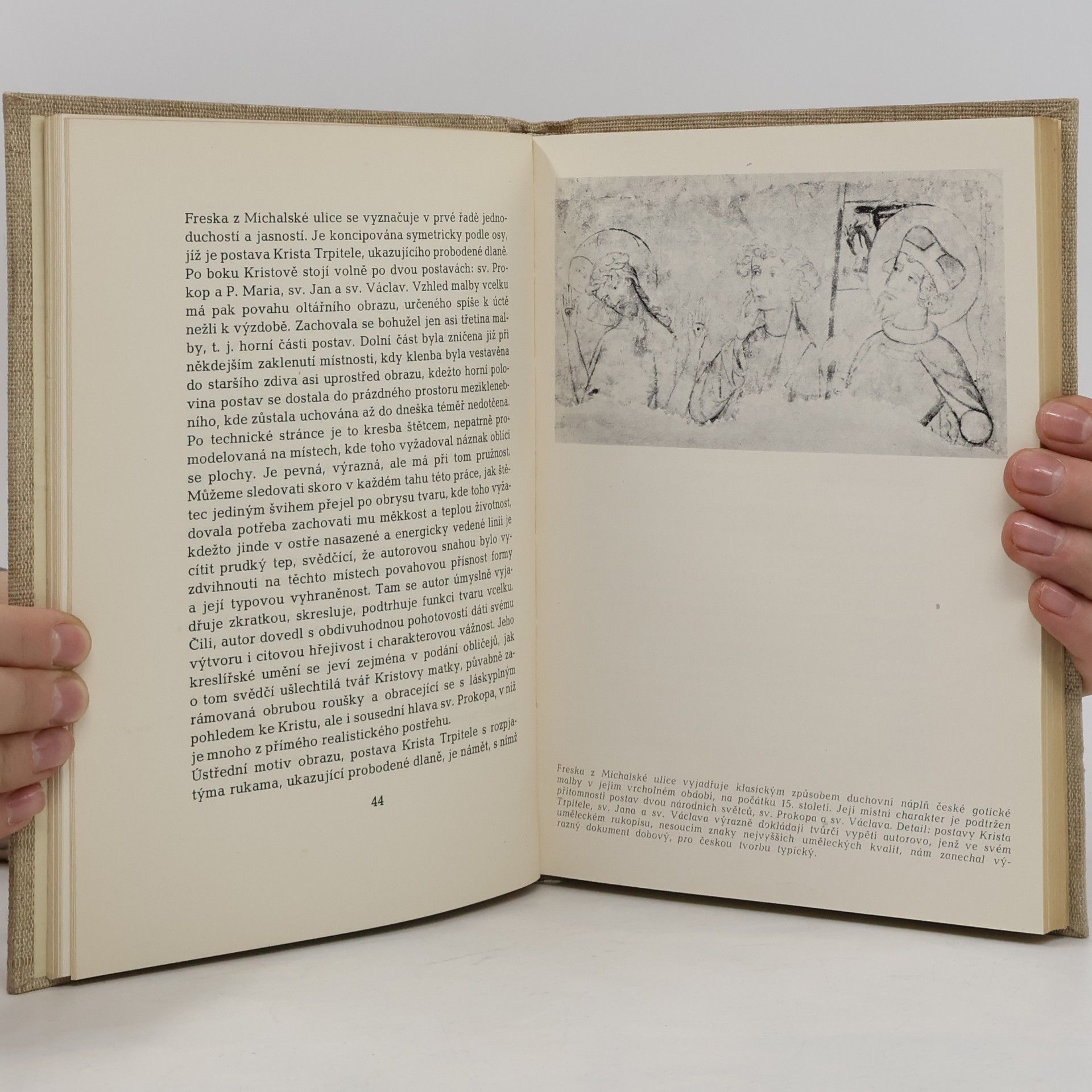 Autores varios Pražskou minulostí I