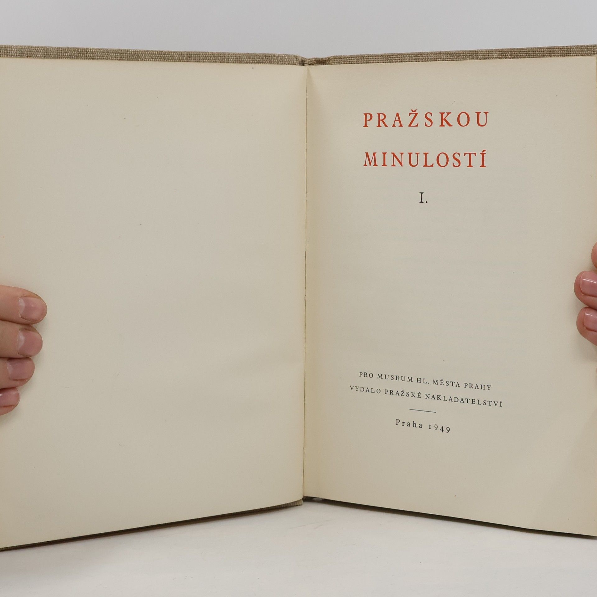 Autores varios Pražskou minulostí I
