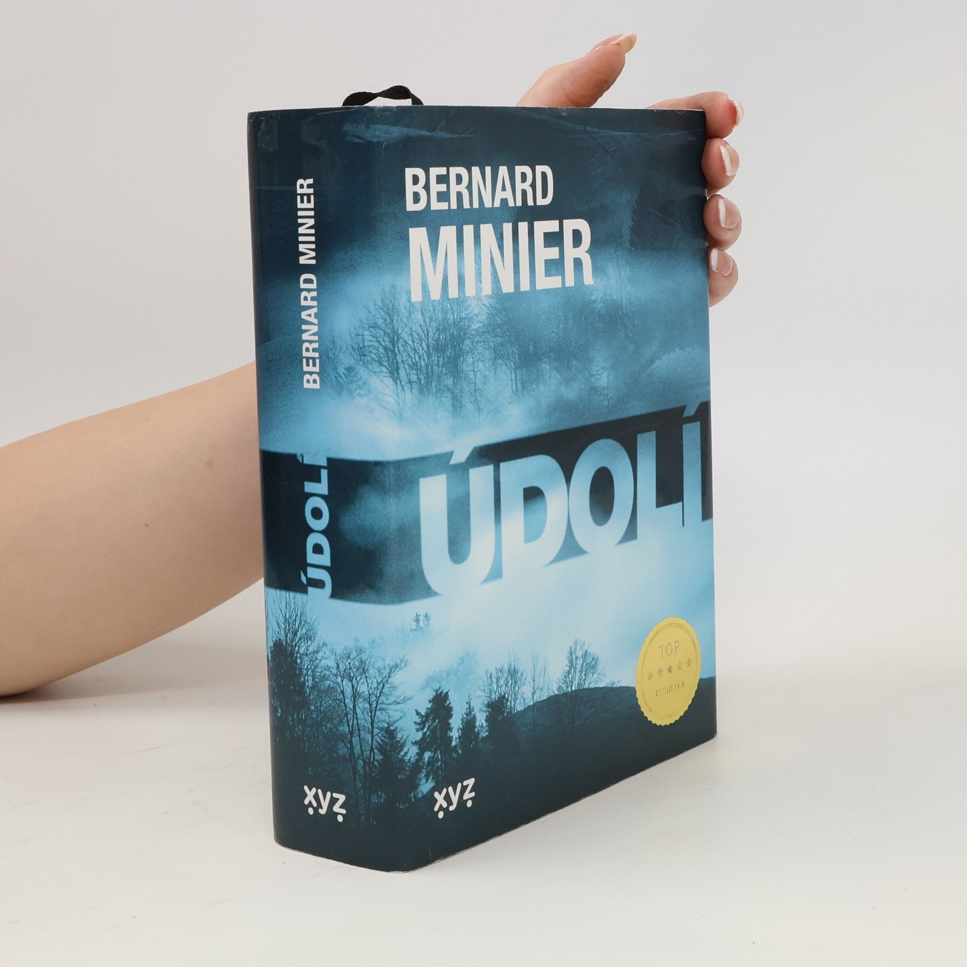 Bernard Minier Údolí