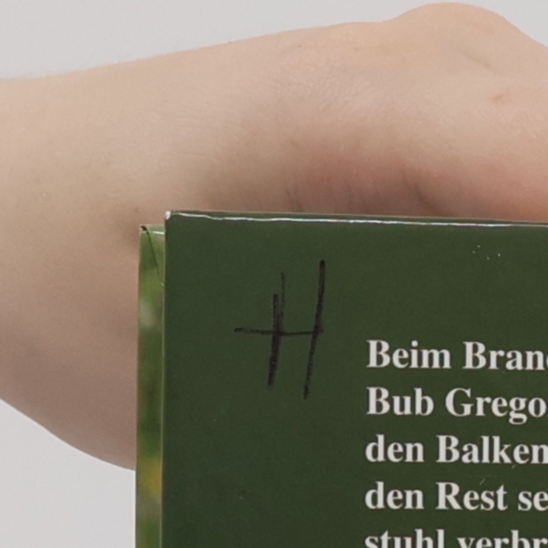 Wolfgang Bergen Frühling in den Bergen