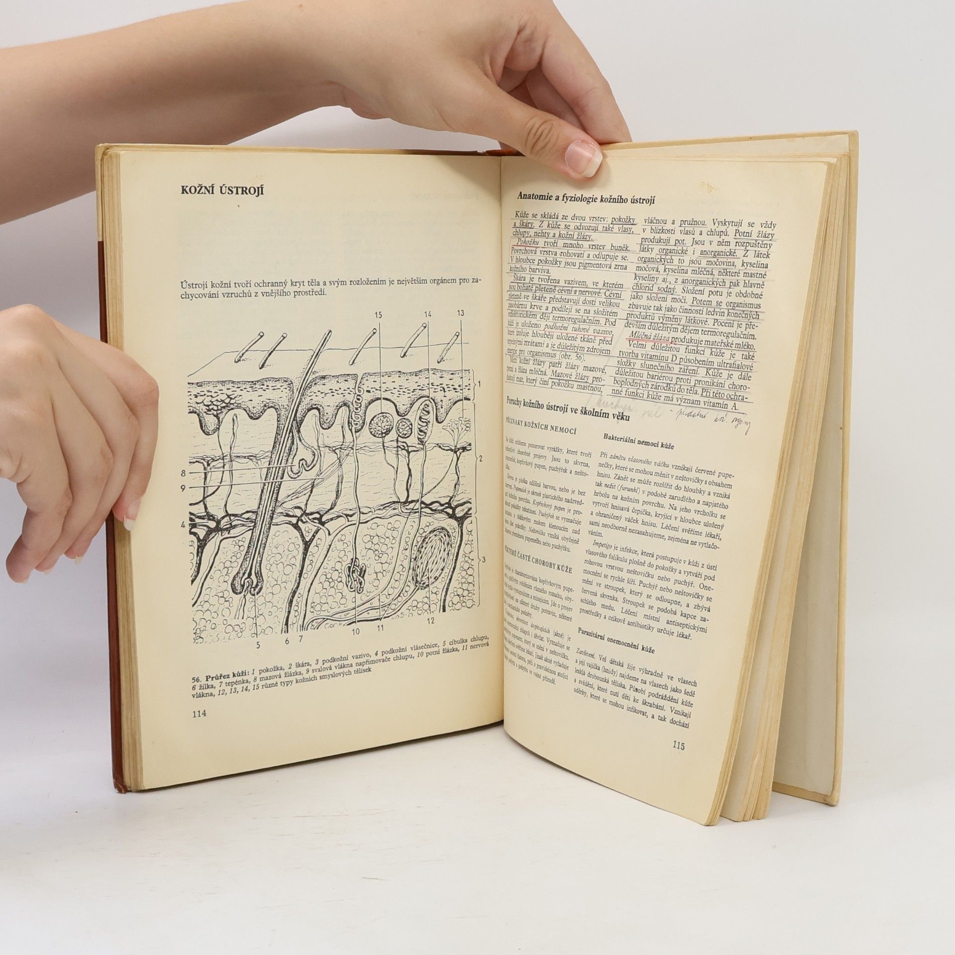 Jaroslav Suchý Biologie dítěte