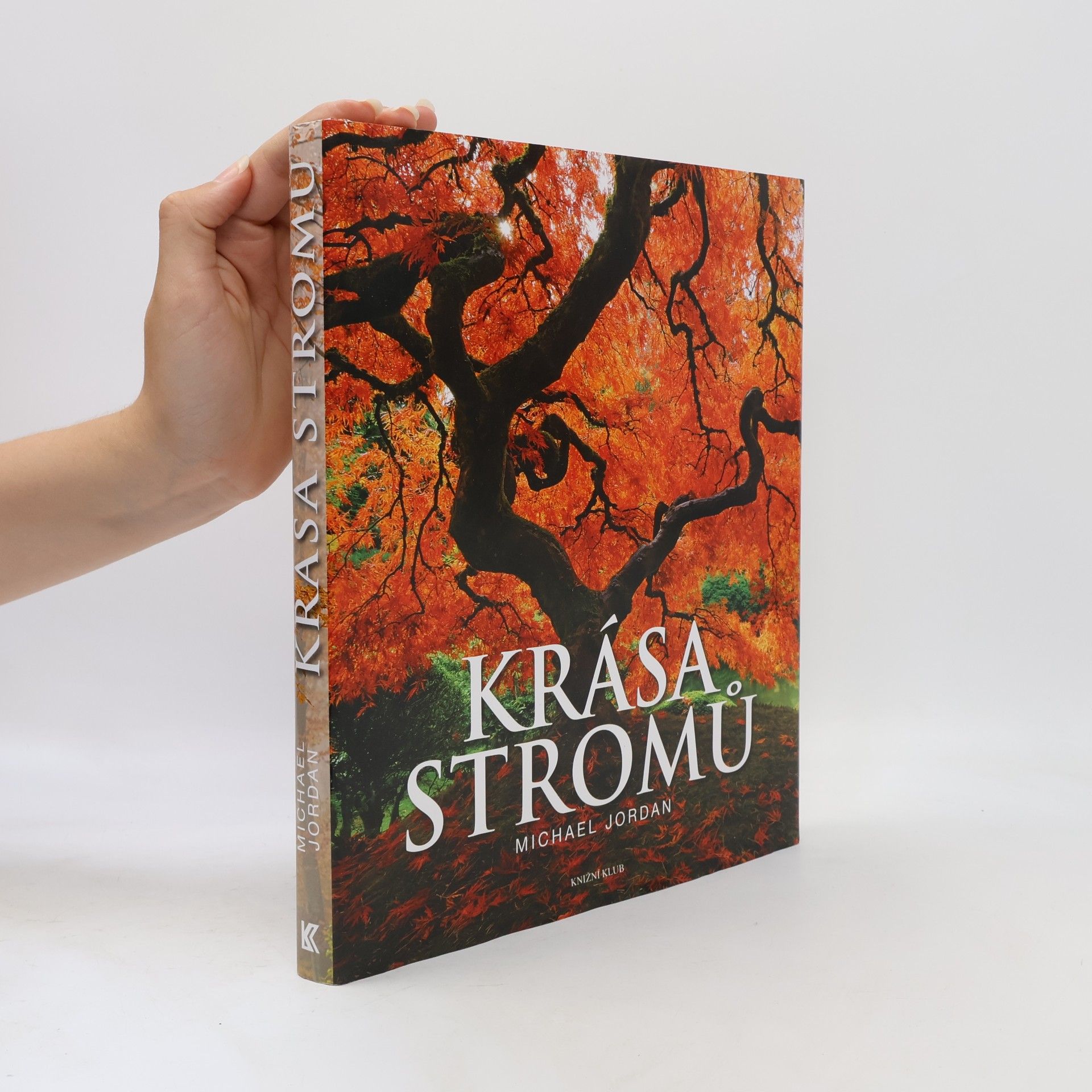 Tony Kirkham Krása stromů