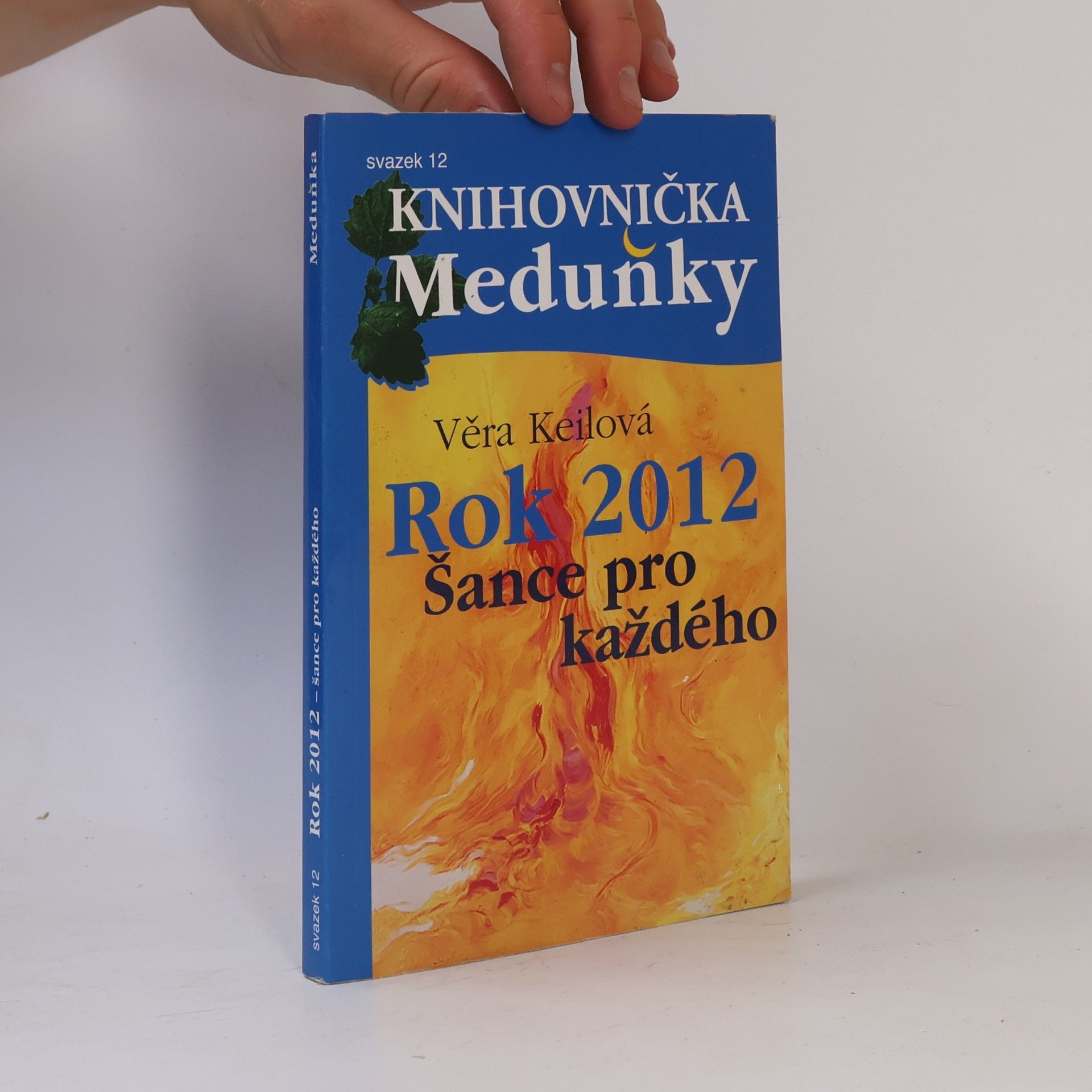 Knihovnička Medunky - 12: Rok 2012 - šance pro každého
