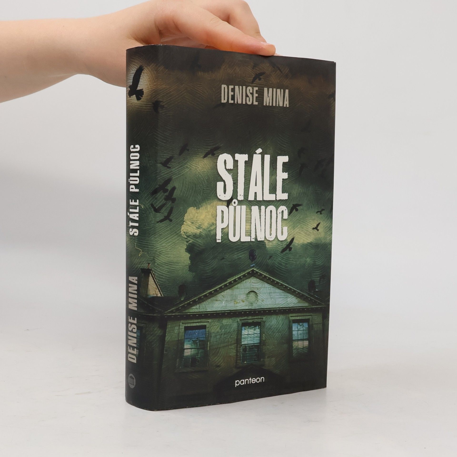 Denise Mina Stále půlnoc