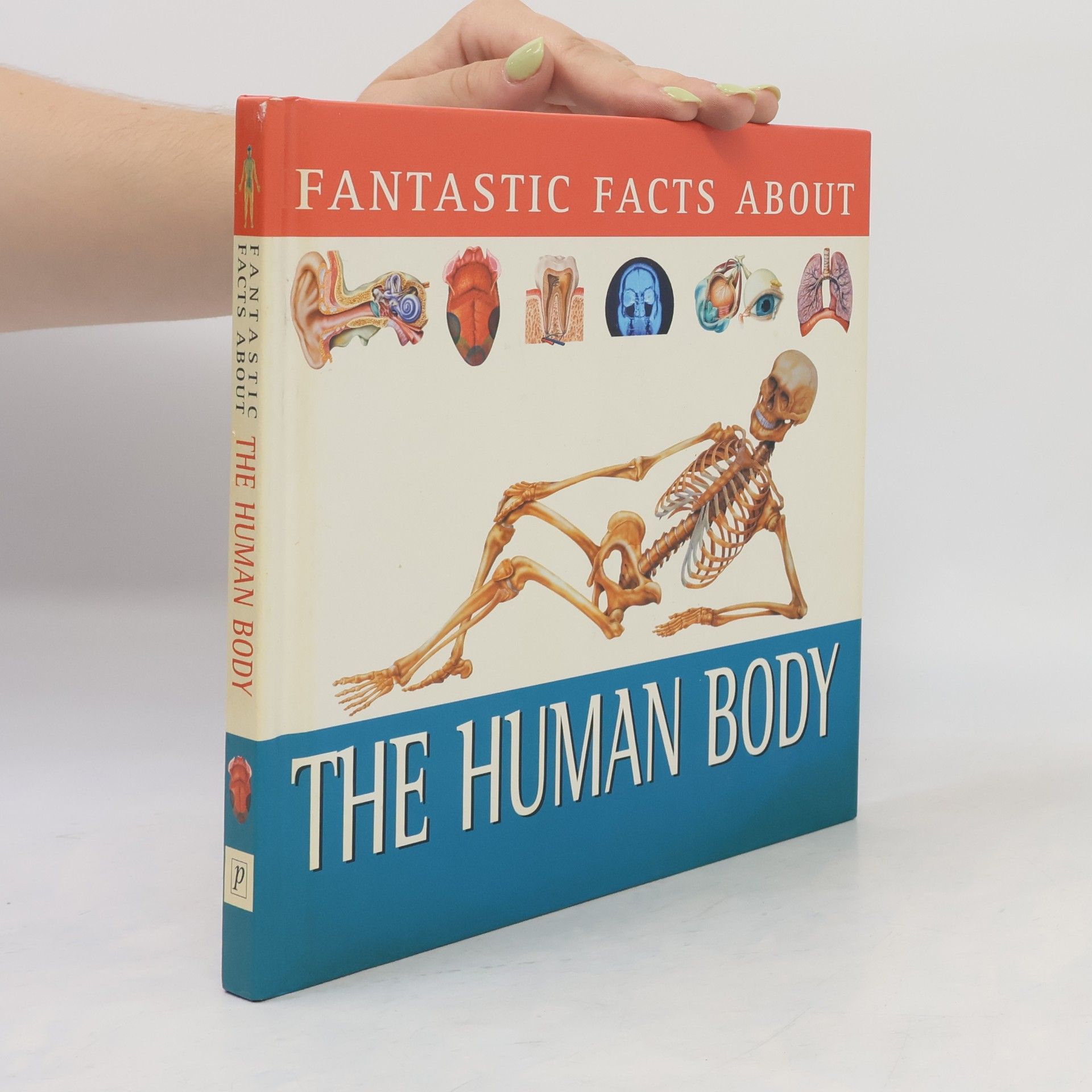 Angela Koo Human Body