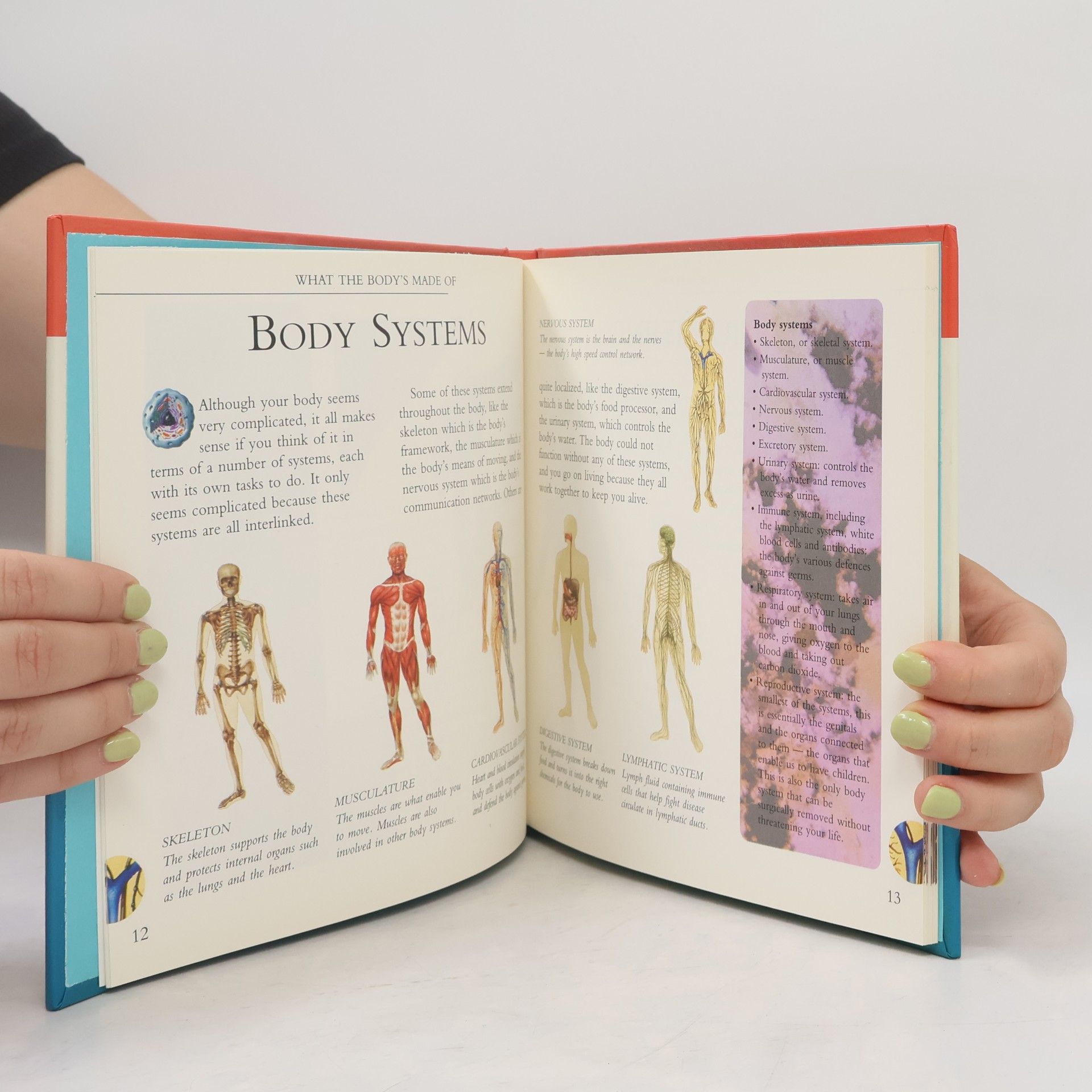 John Farndon Human Body