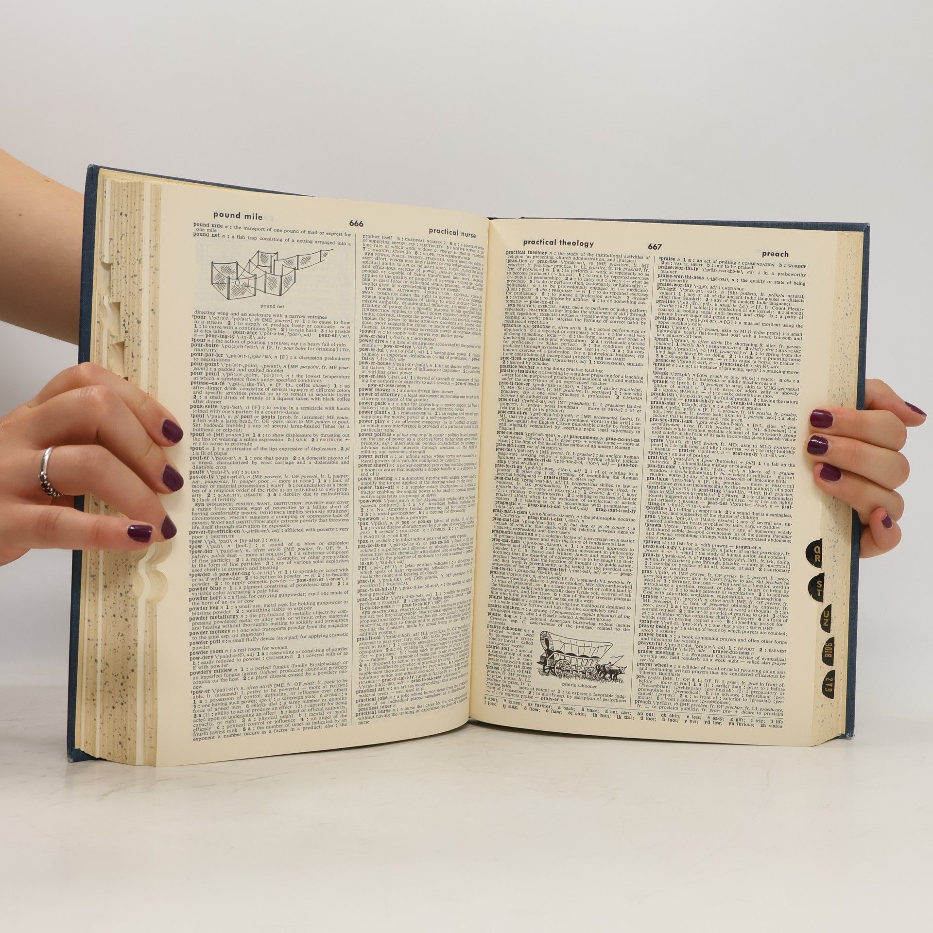 Merriam-Webster Webster´s Seventh New Collegiate Dictionary