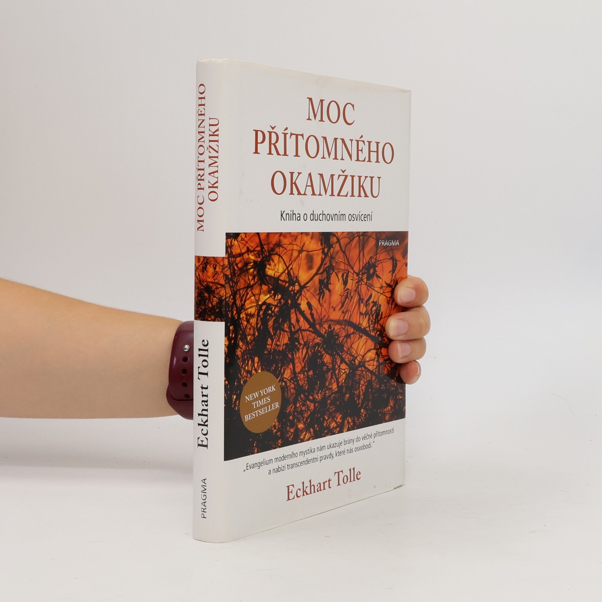 Eckhart Tolle Moc přítomného okamžiku