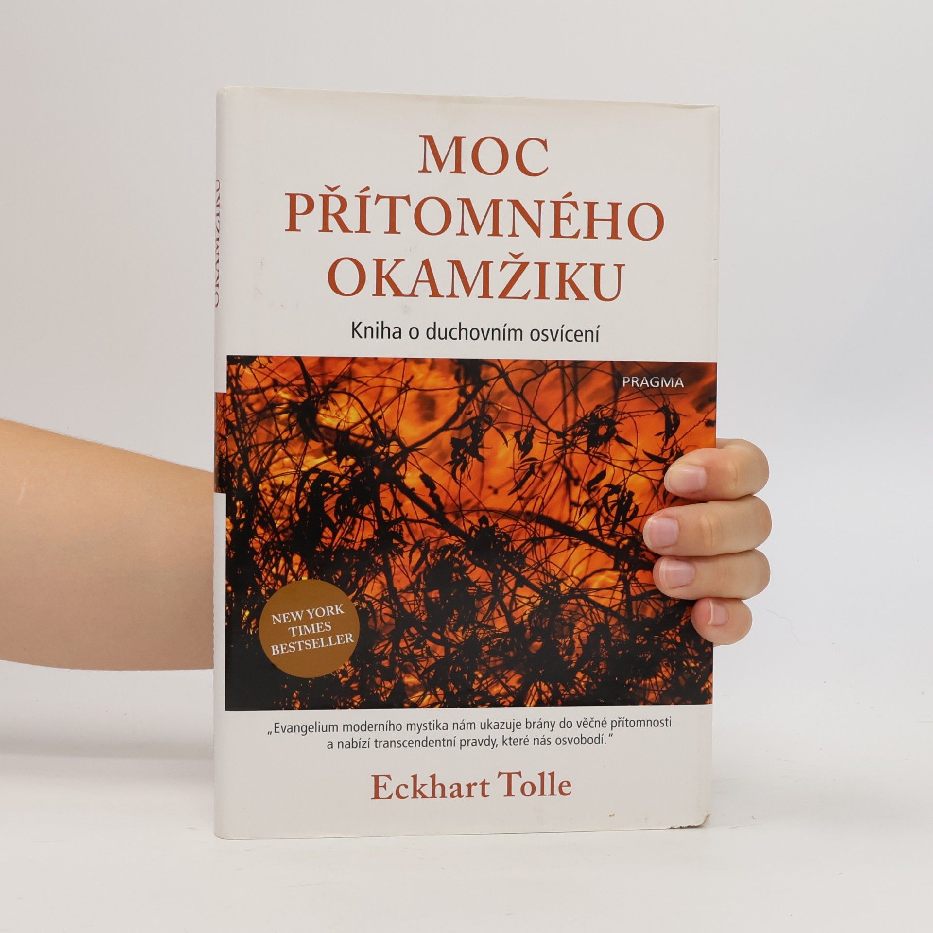 Eckhart Tolle Moc přítomného okamžiku