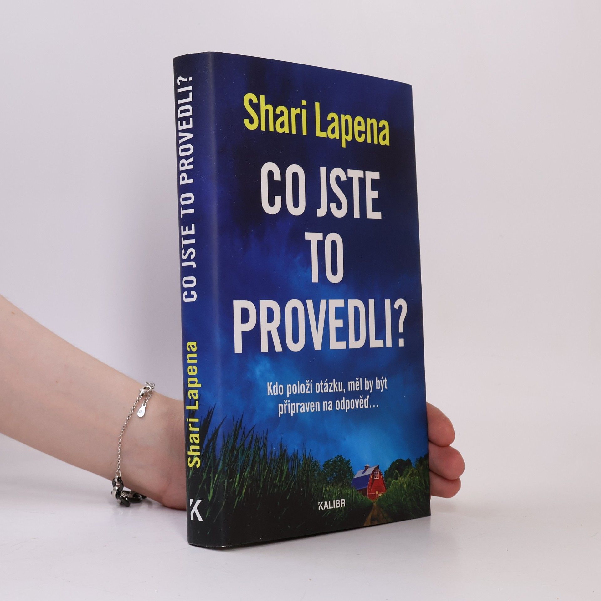 Shari Lapena Co jste to provedli?