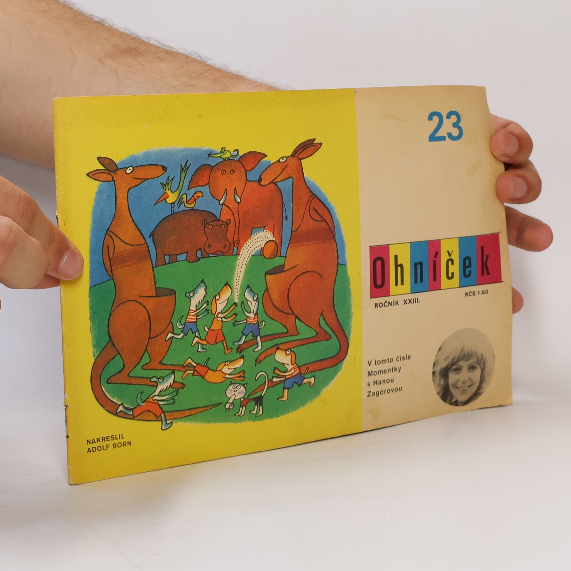 Kolektiv autorů Ohníček 23. Ročník XXIII