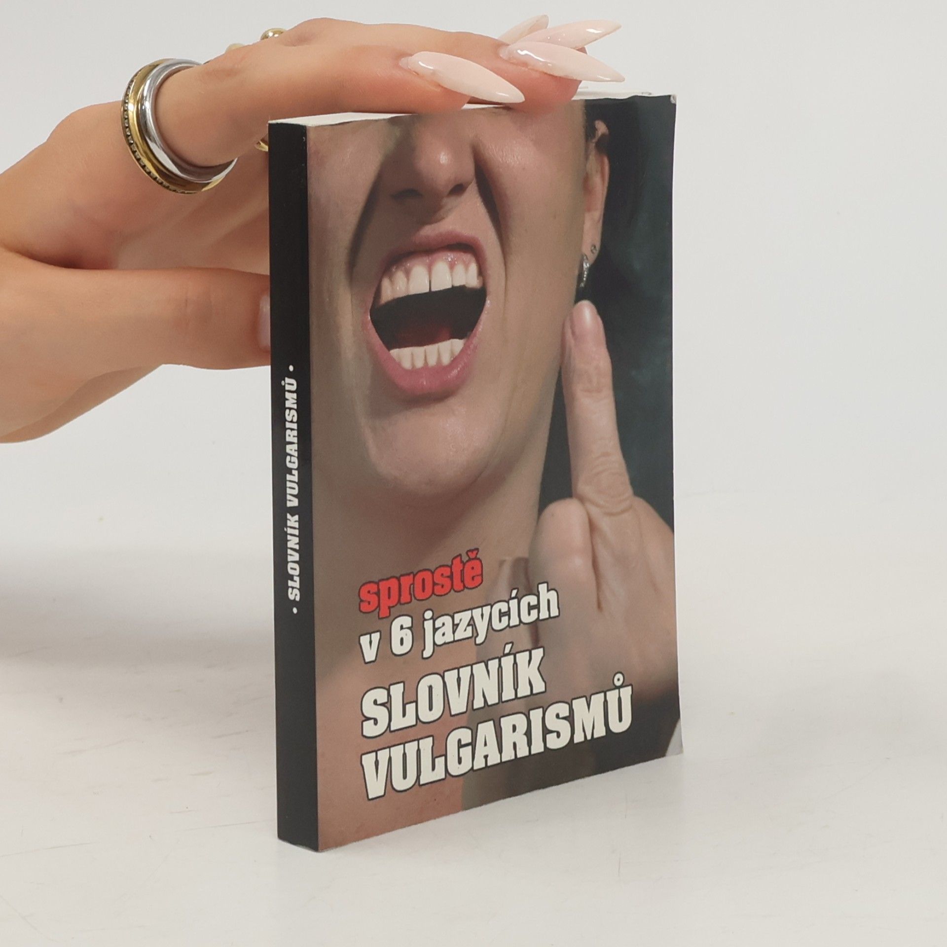 Kryštof Bajger Slovník vulgarismů : sprostě v 6 jazycích