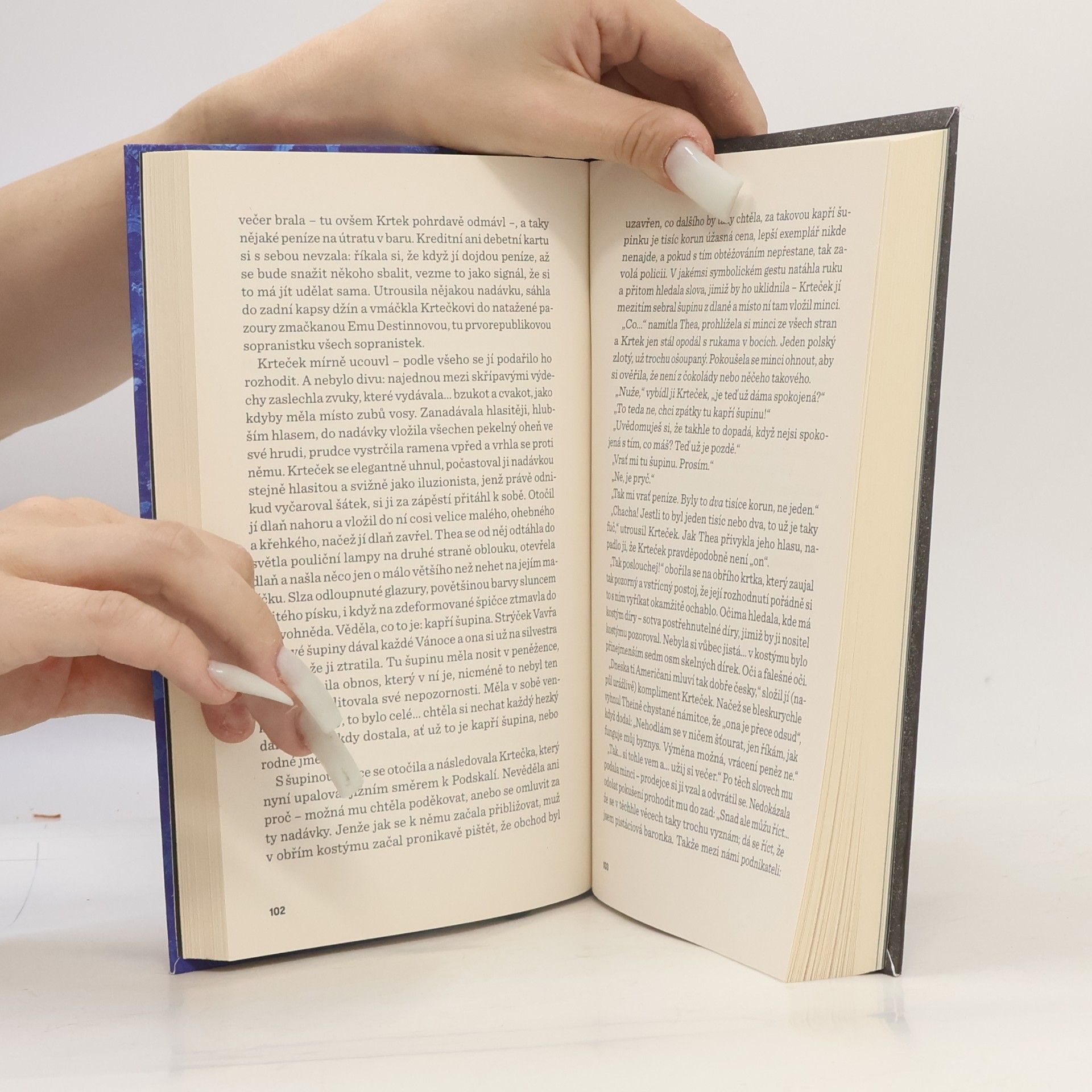 Helen Oyeyemi Slunečník proti sekyře