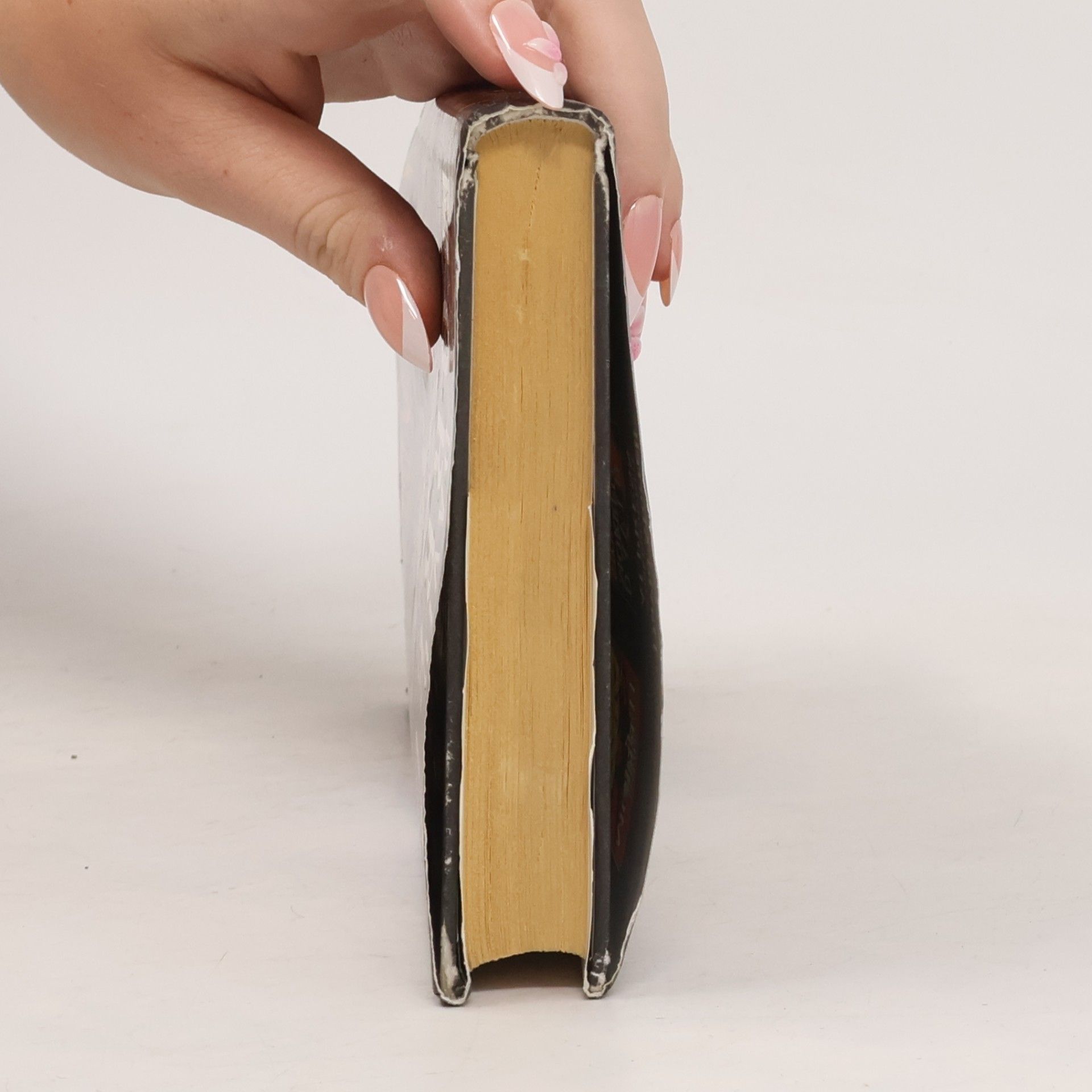 David Morrell Testament