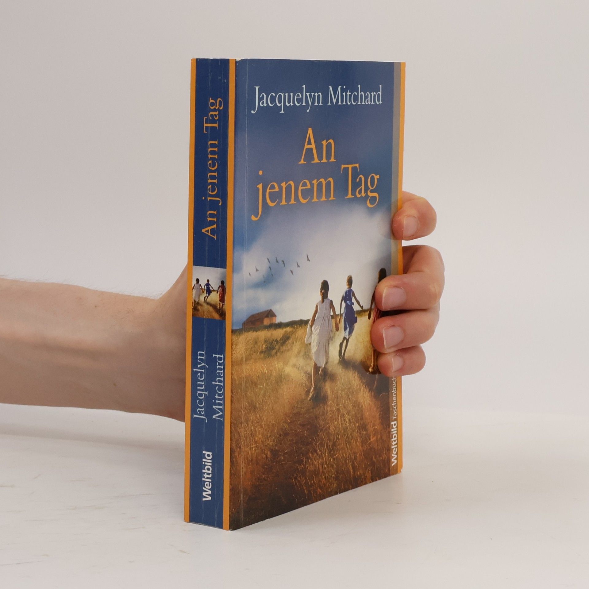 Jacquelyn Mitchard An jenem Tag