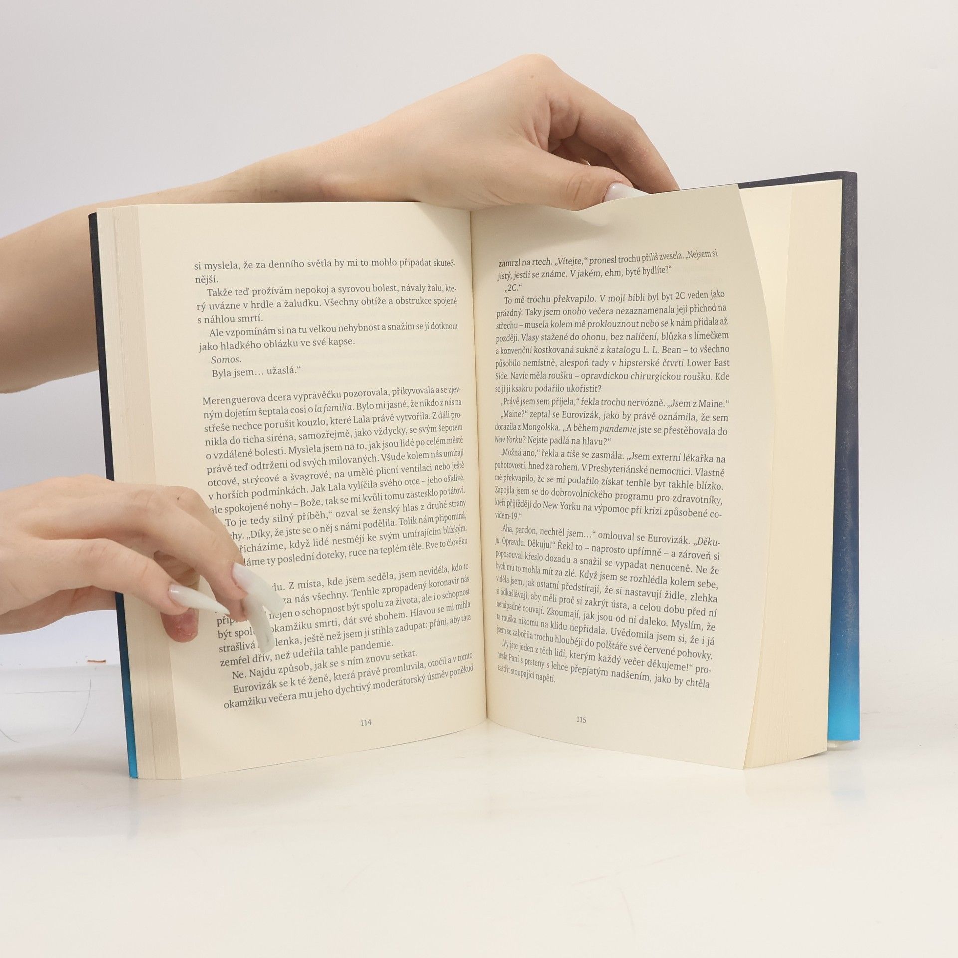 Margaret Atwood Čtrnáct dnů