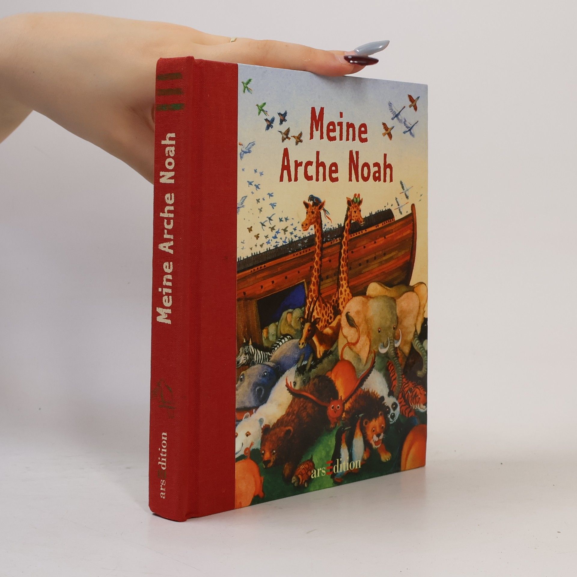 Rosemarie Künzler-Behncke Meine Arche Noah