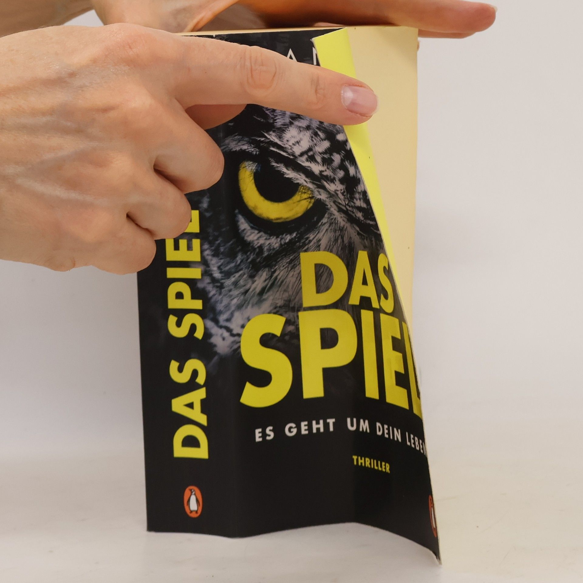 Jan Beck Das Spiel