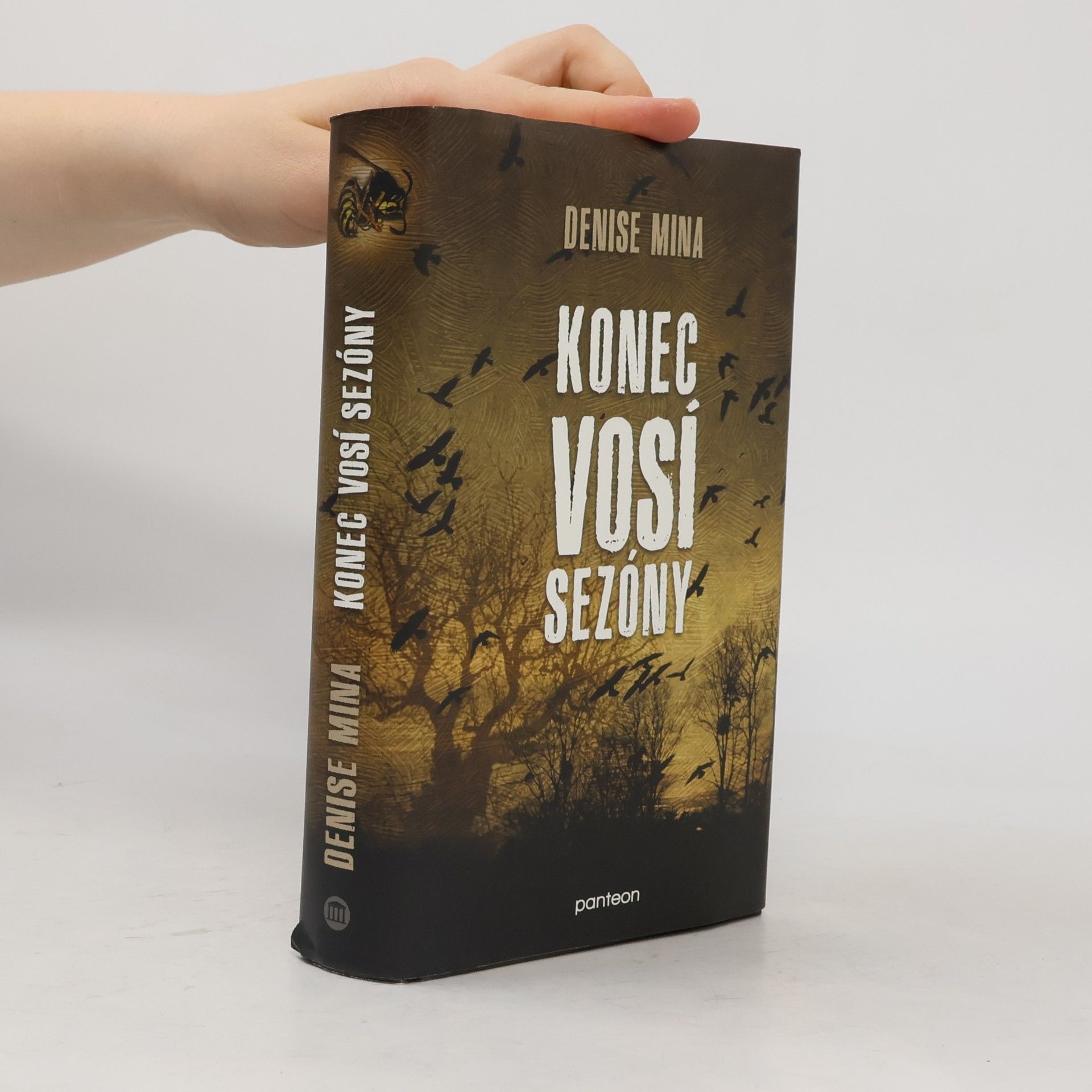 Denise Mina Konec vosí sezóny