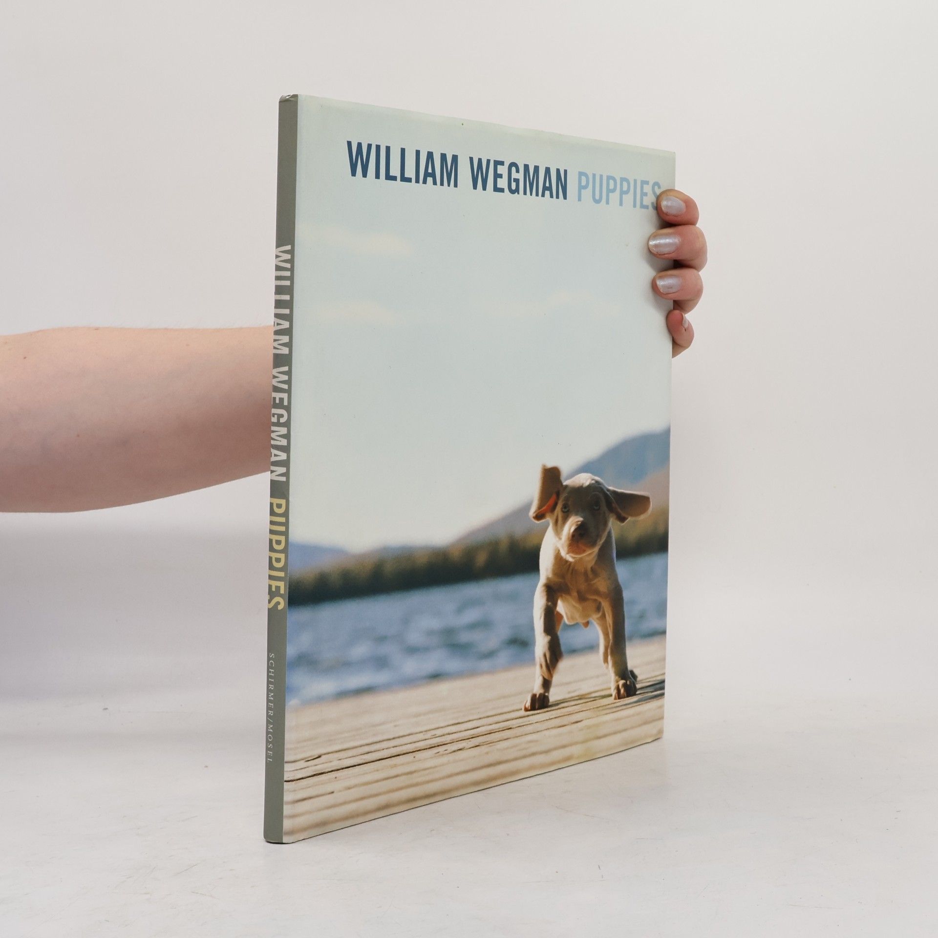 William Wegman Puppies