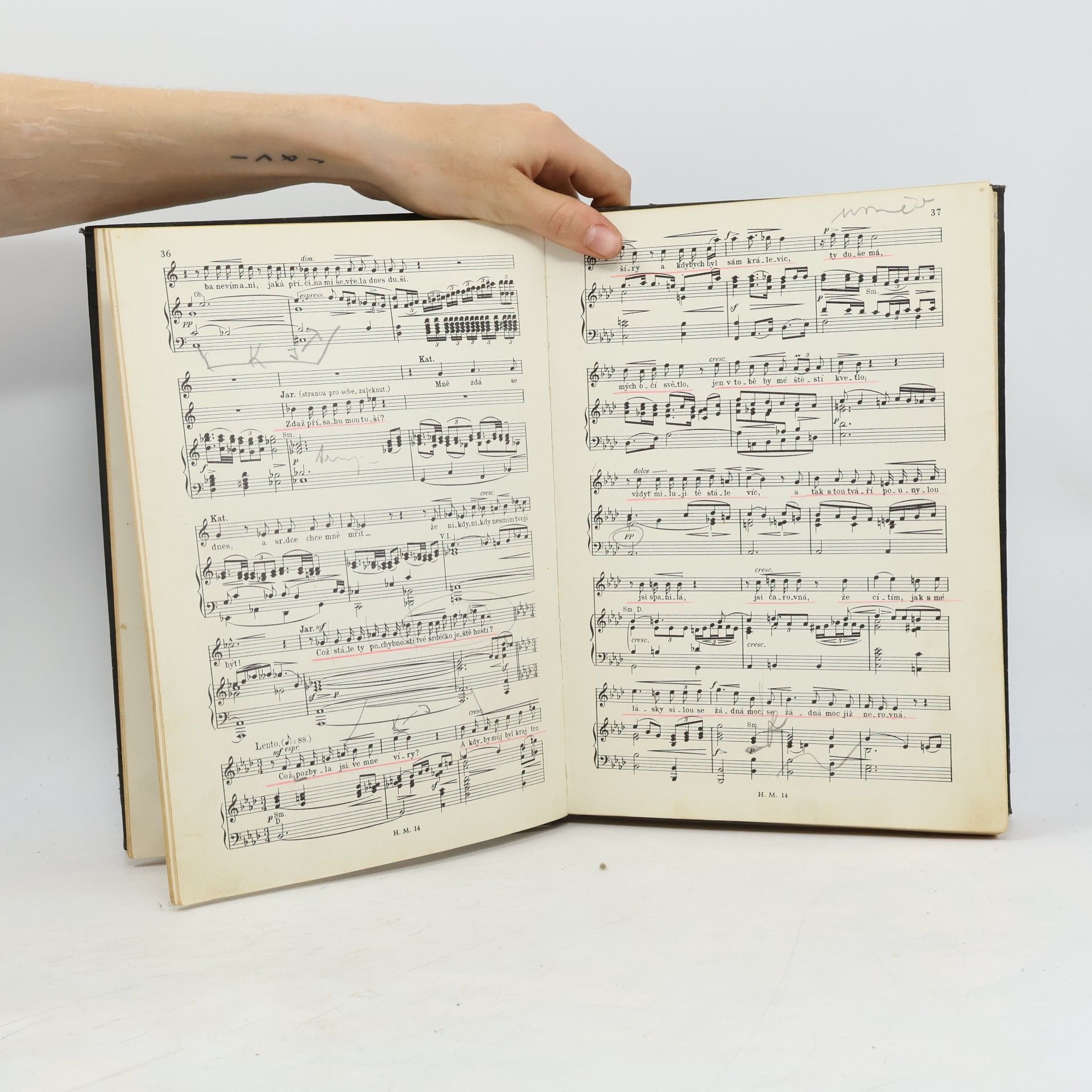 Bedřich Smetana Čertova stěna