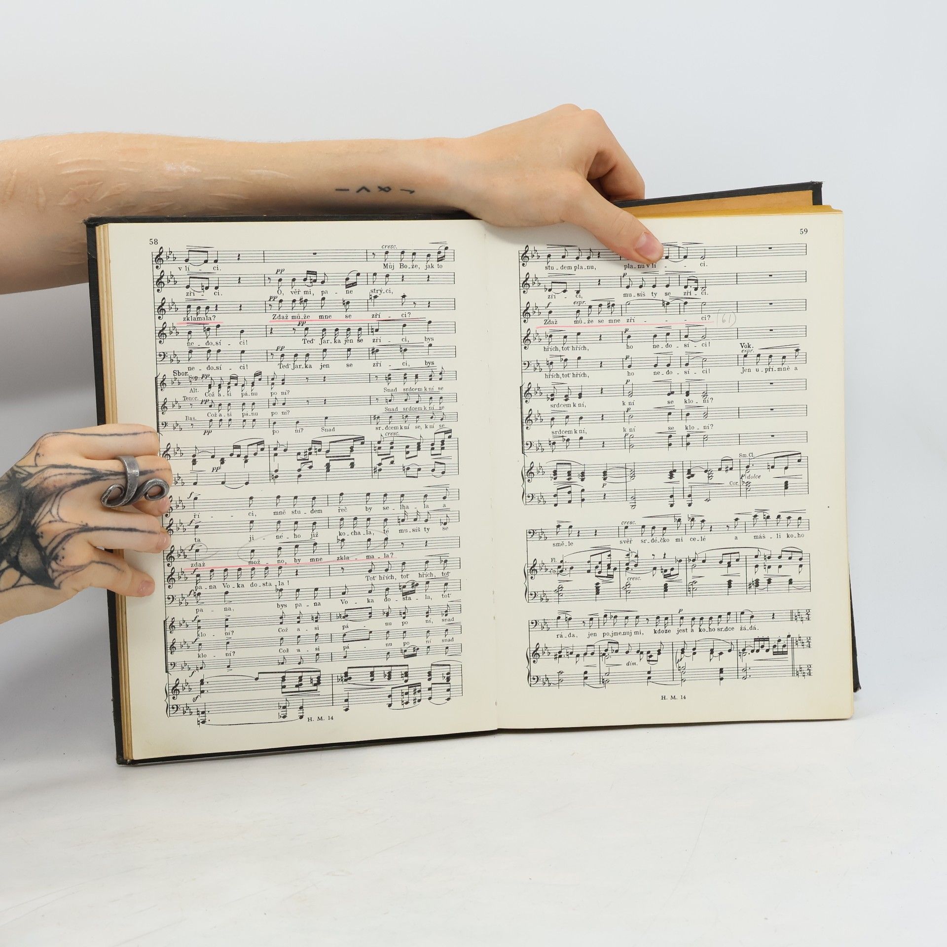 Bedřich Smetana Čertova stěna