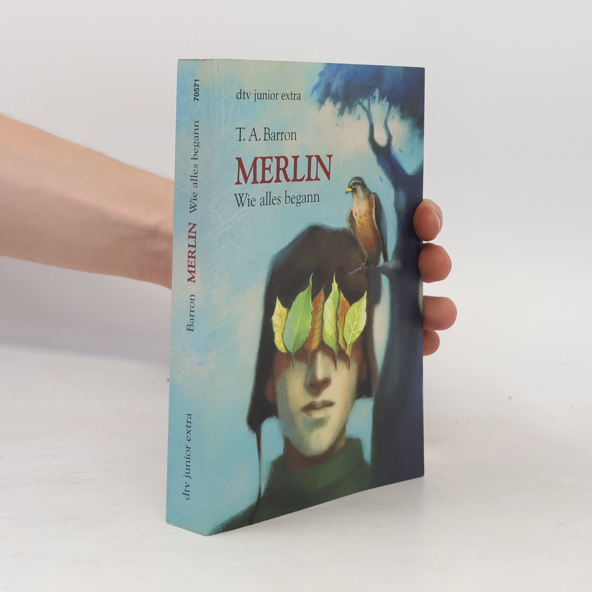 T. A. Barron Merlin. Wie alles begann