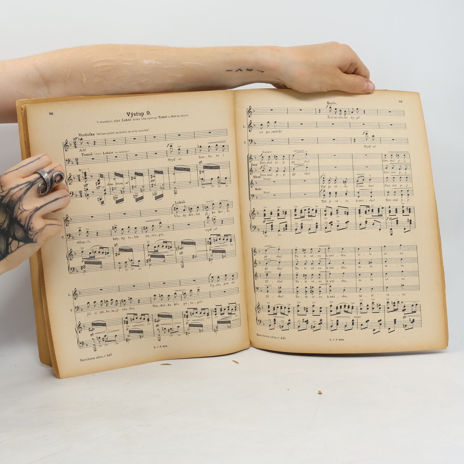 Bedřich Smetana Hubička