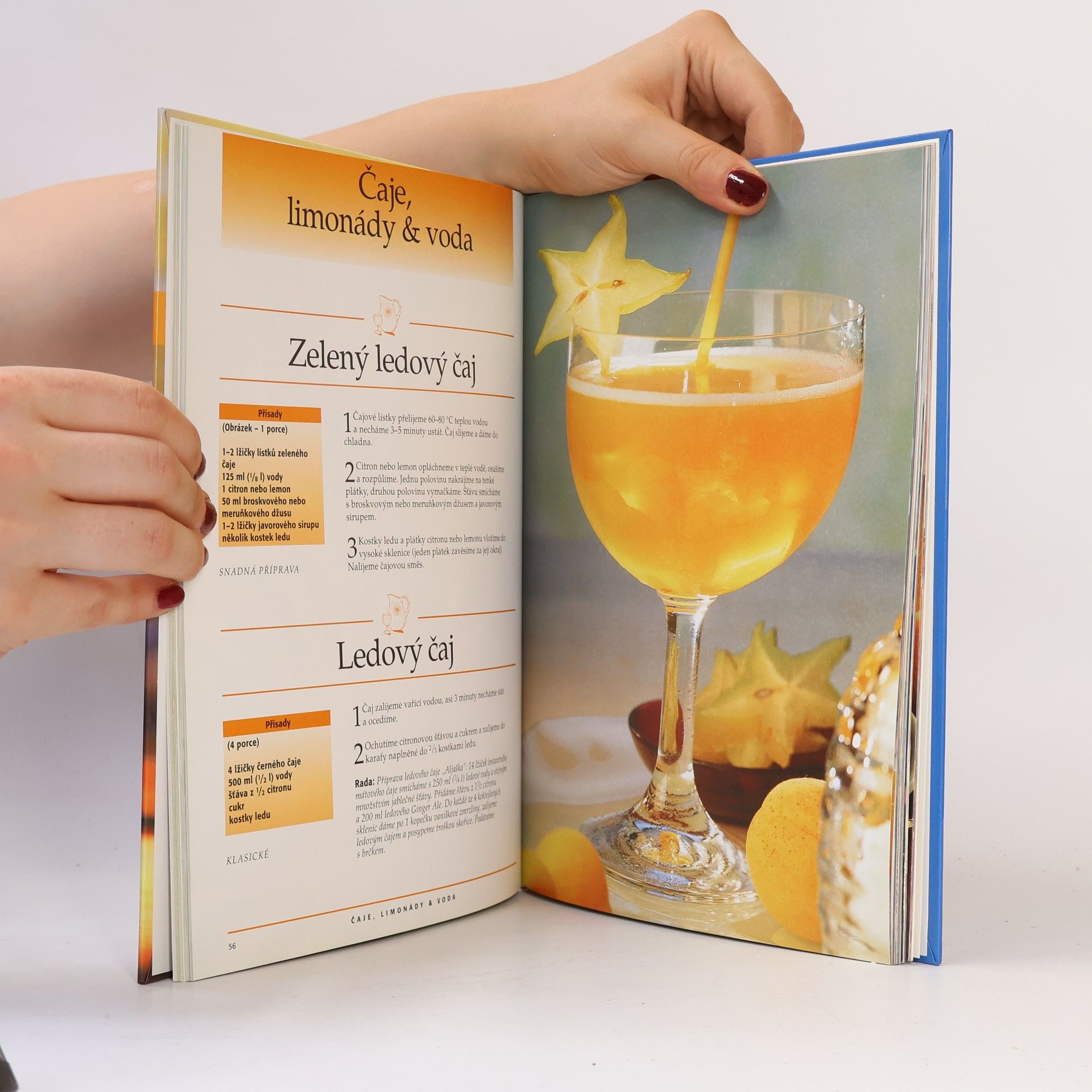 Kolektiv autorů Nápoje alkoholické i nealkoholické