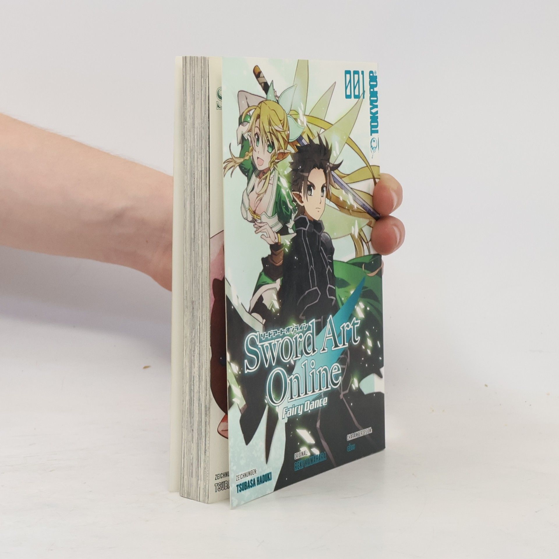 Tsubasa Hazuki Sword Art Online. Fairy Dance 1