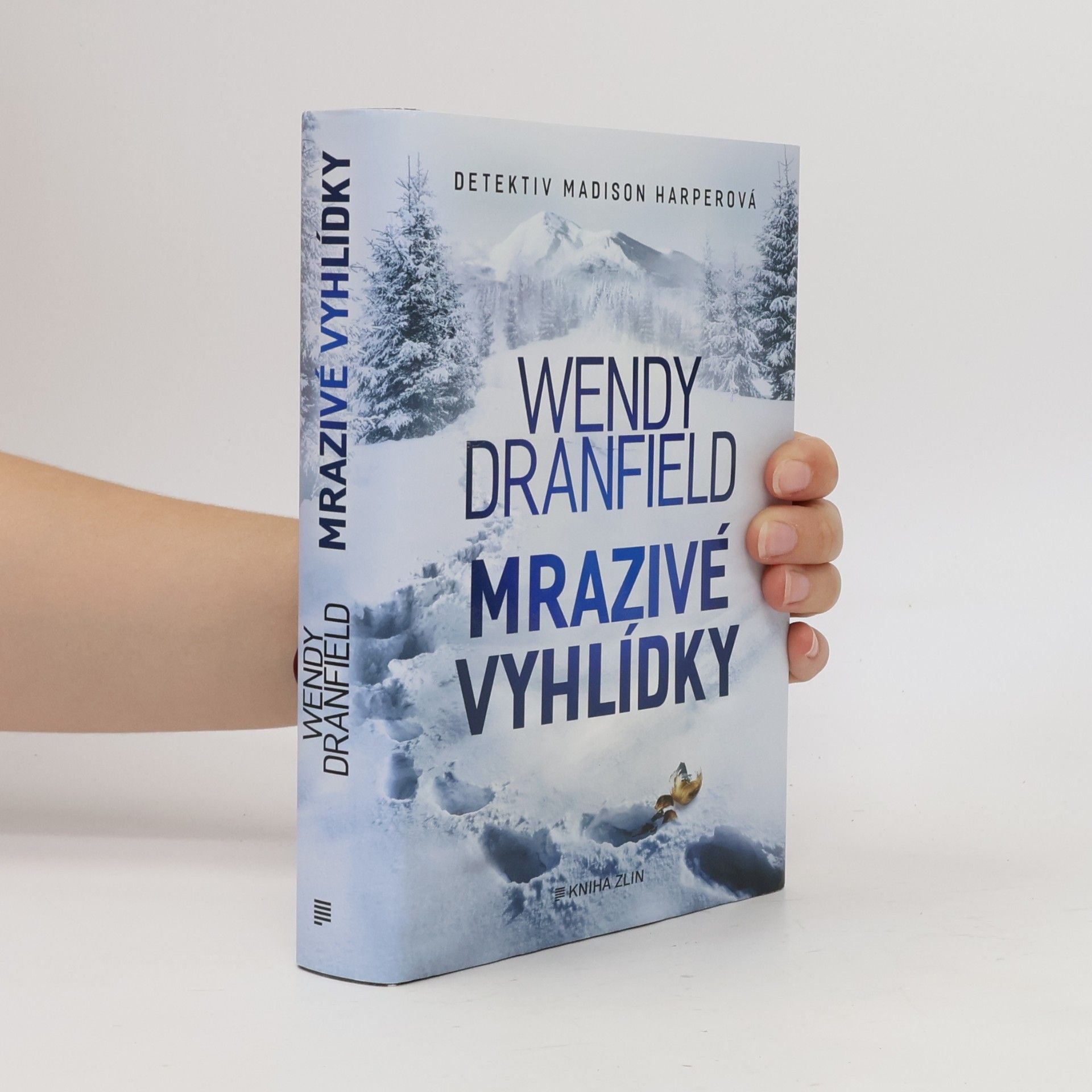 Wendy Dranfield Mrazivé vyhlídky