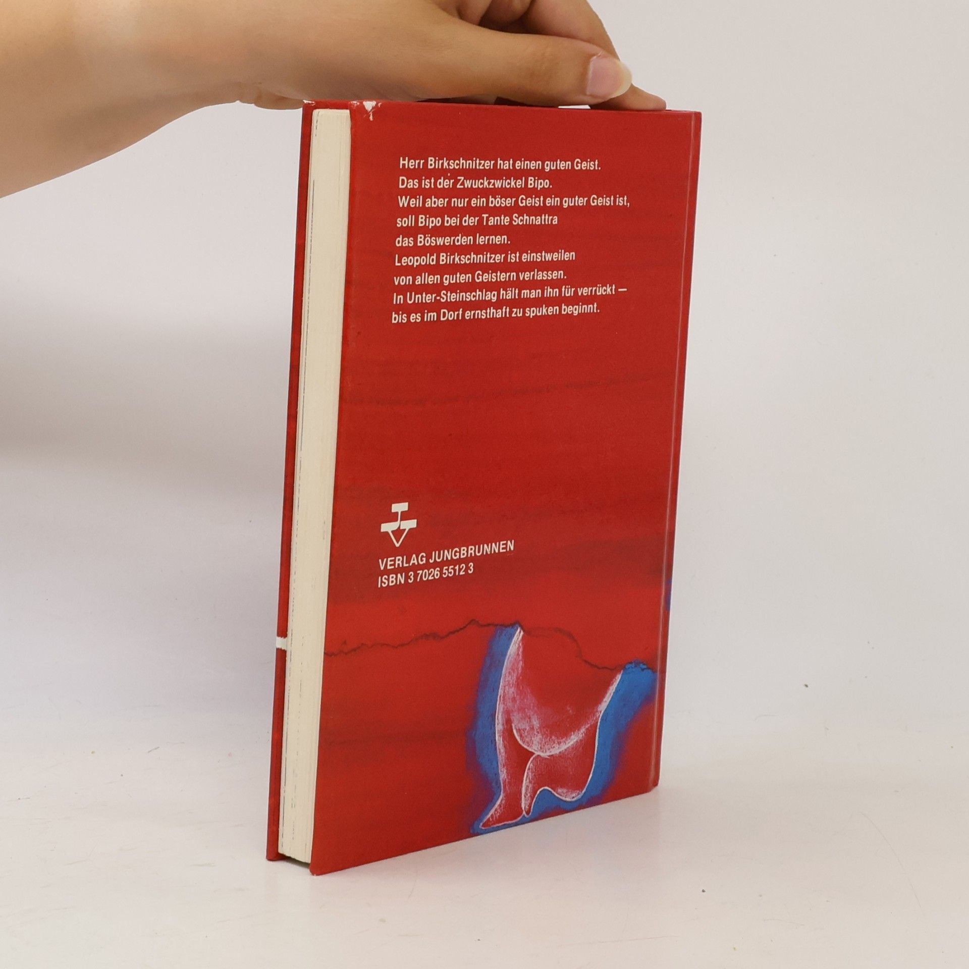 Vera Ferra-Mikura Mein grüngestreiftes Geisterbuch
