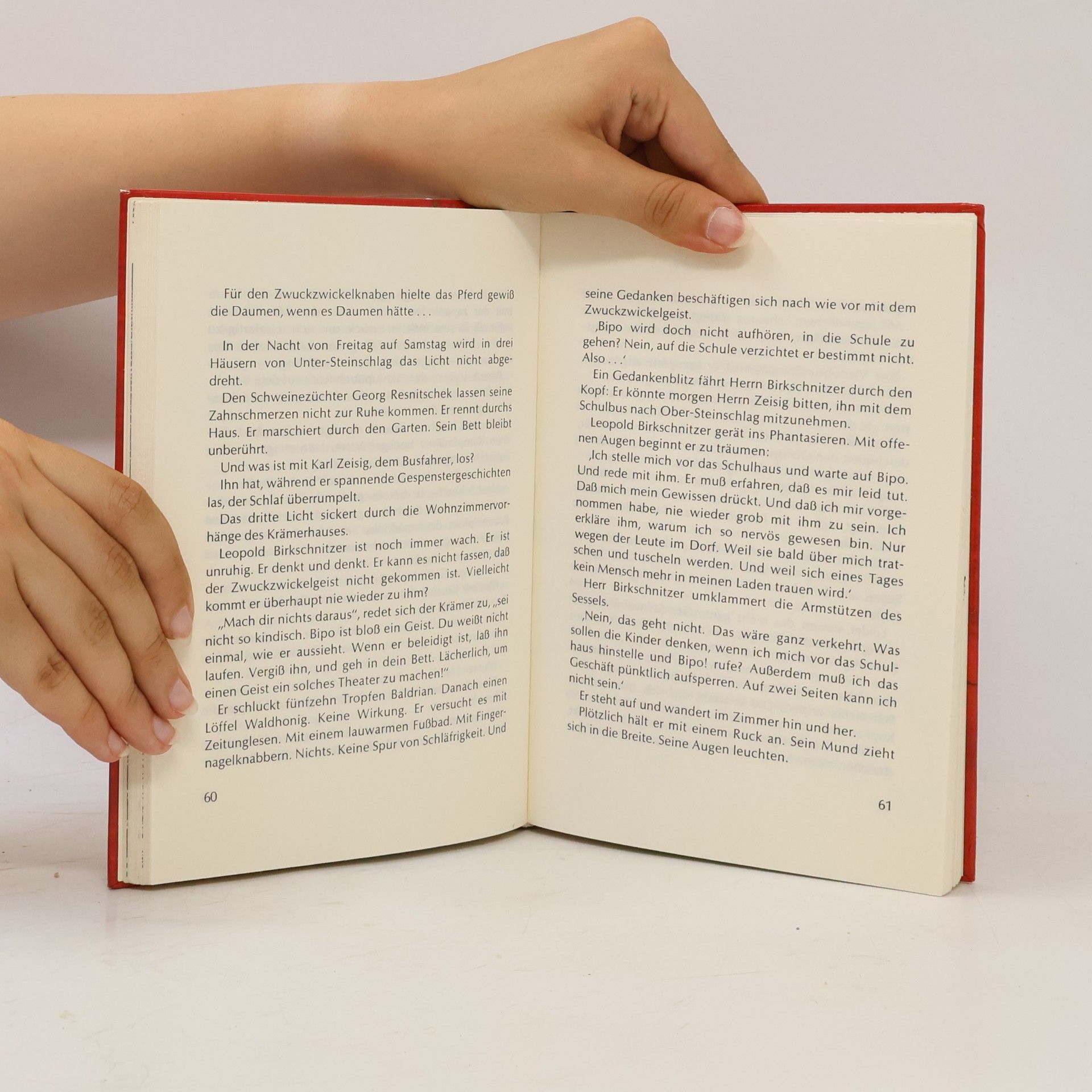 Vera Ferra-Mikura Mein grüngestreiftes Geisterbuch