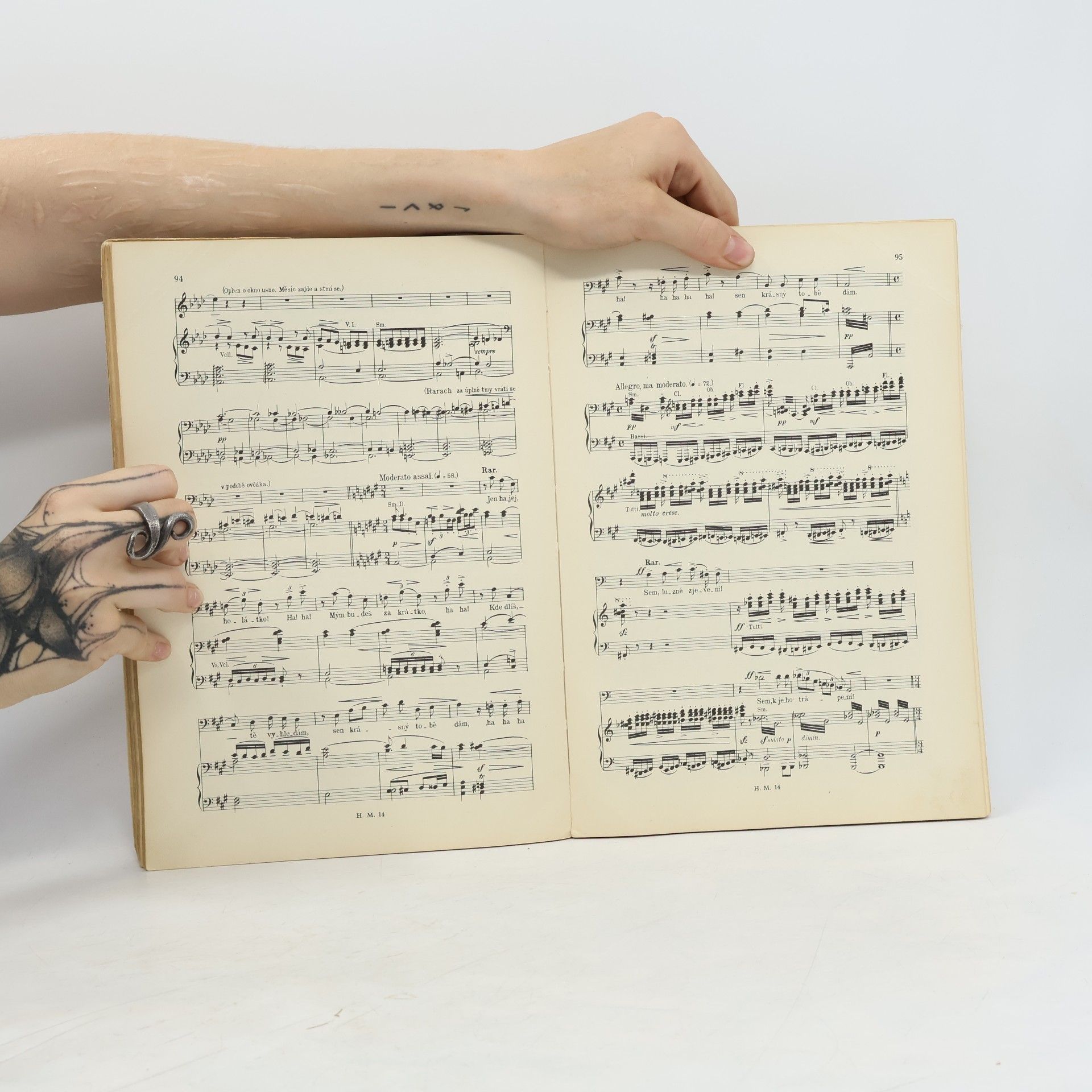 Bedřich Smetana Čertova stěna