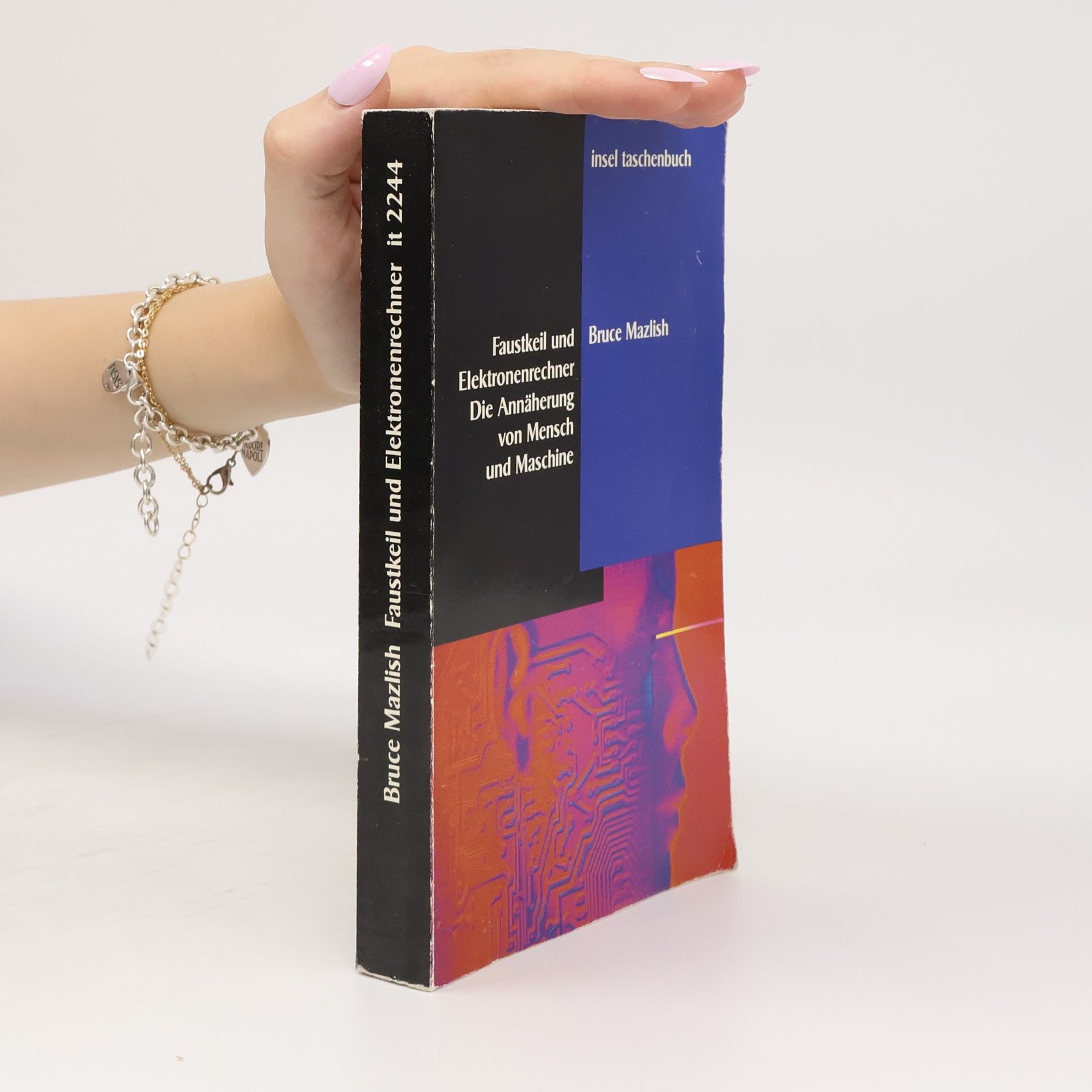 Bruce Mazlish Faustkeil und Elektronenrechner