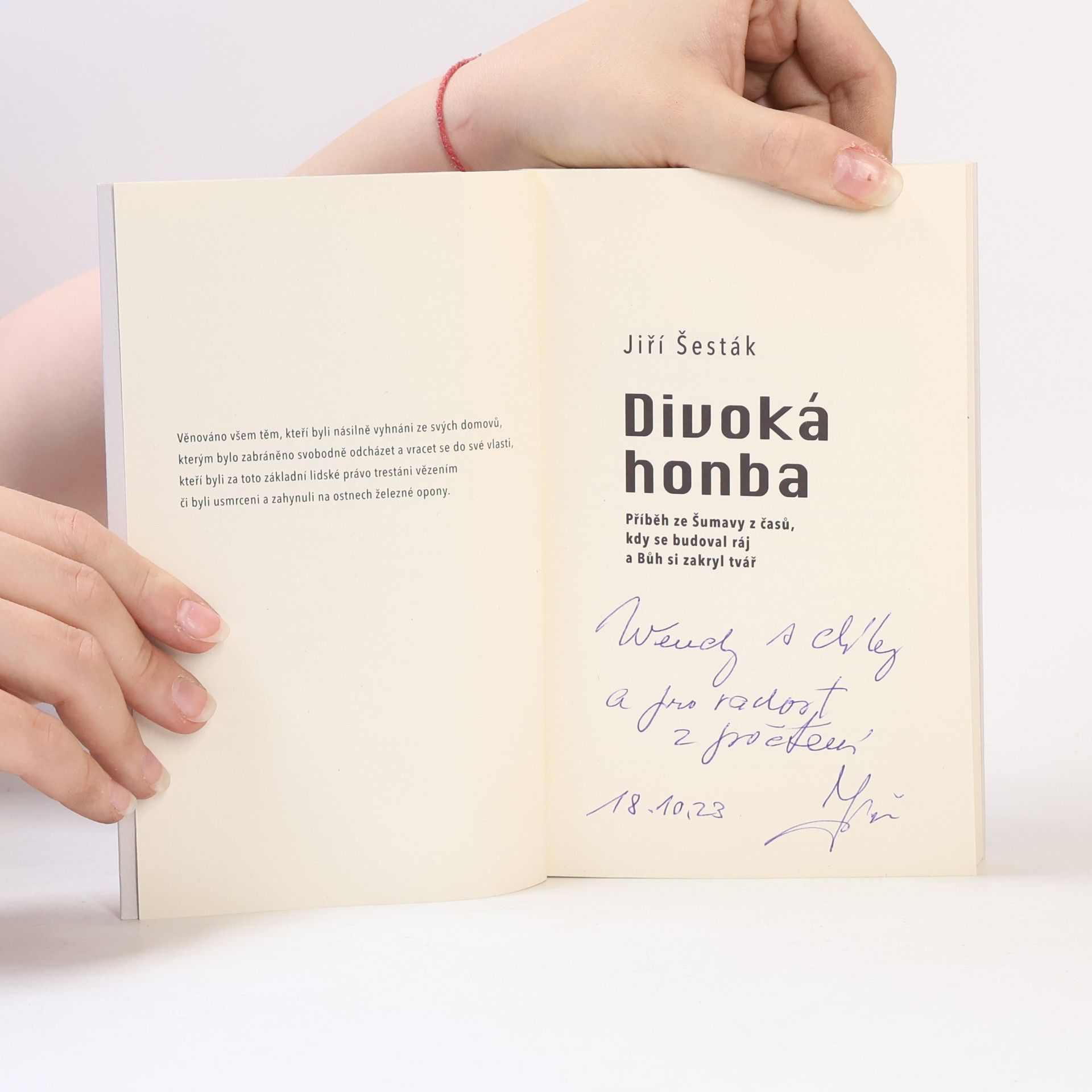 Jiří Šesták Divoká honba : příběh ze Šumavy z časů, kdy se budoval ráj a Bůh si zakryl tvář