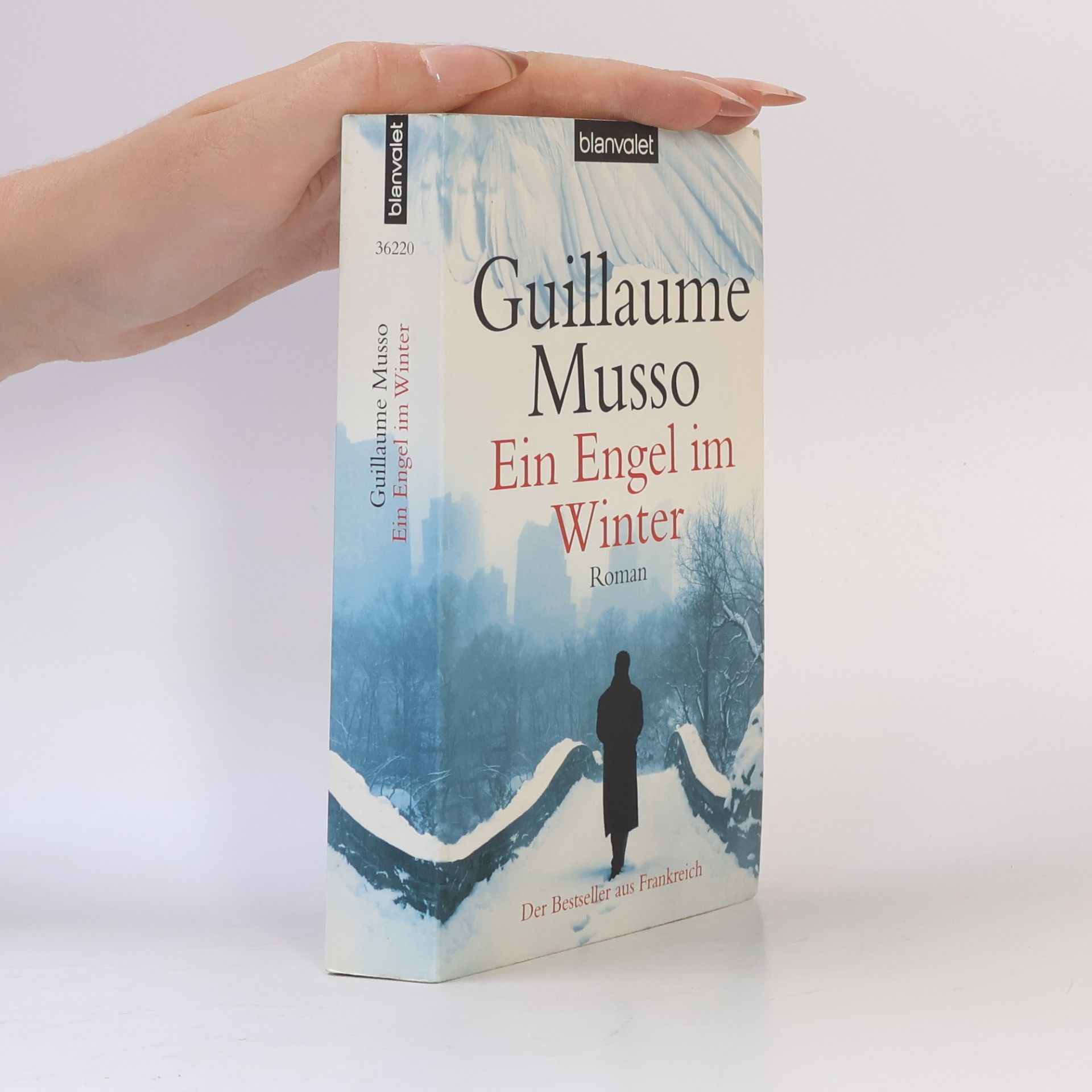 Guillaume Musso Ein Engel im Winter