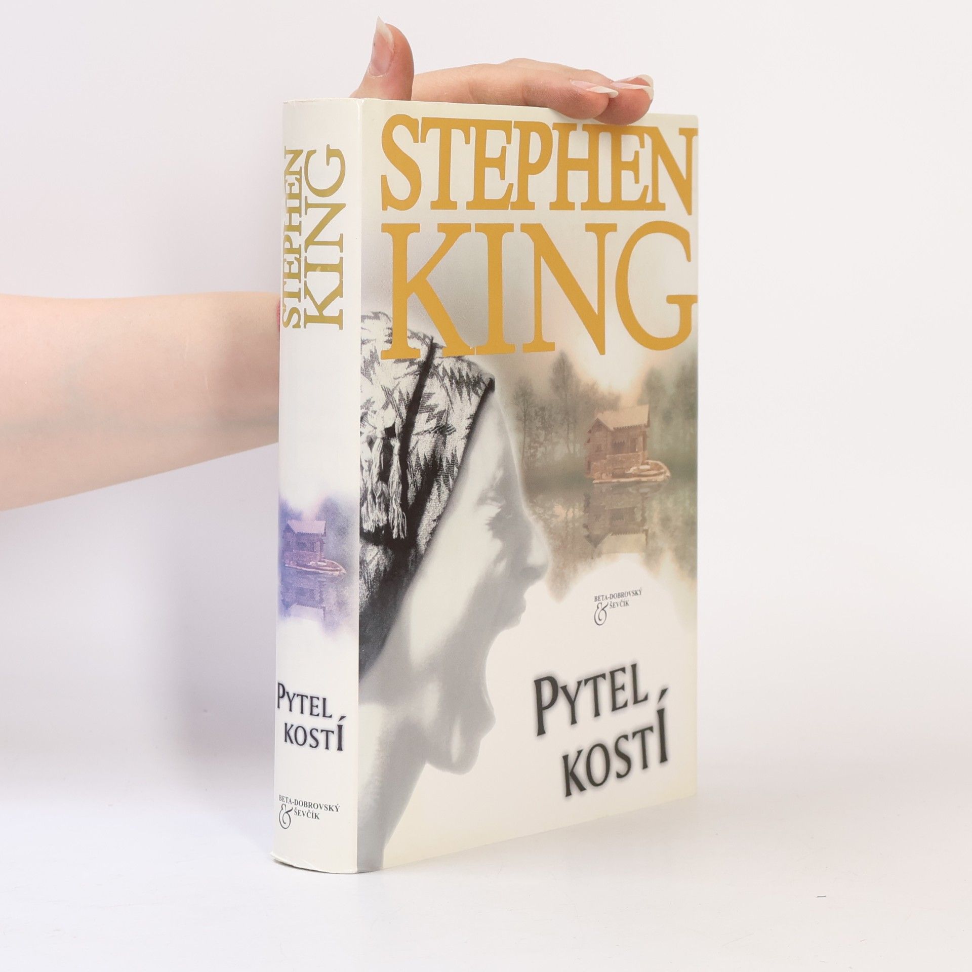 Stephen King Pytel kostí