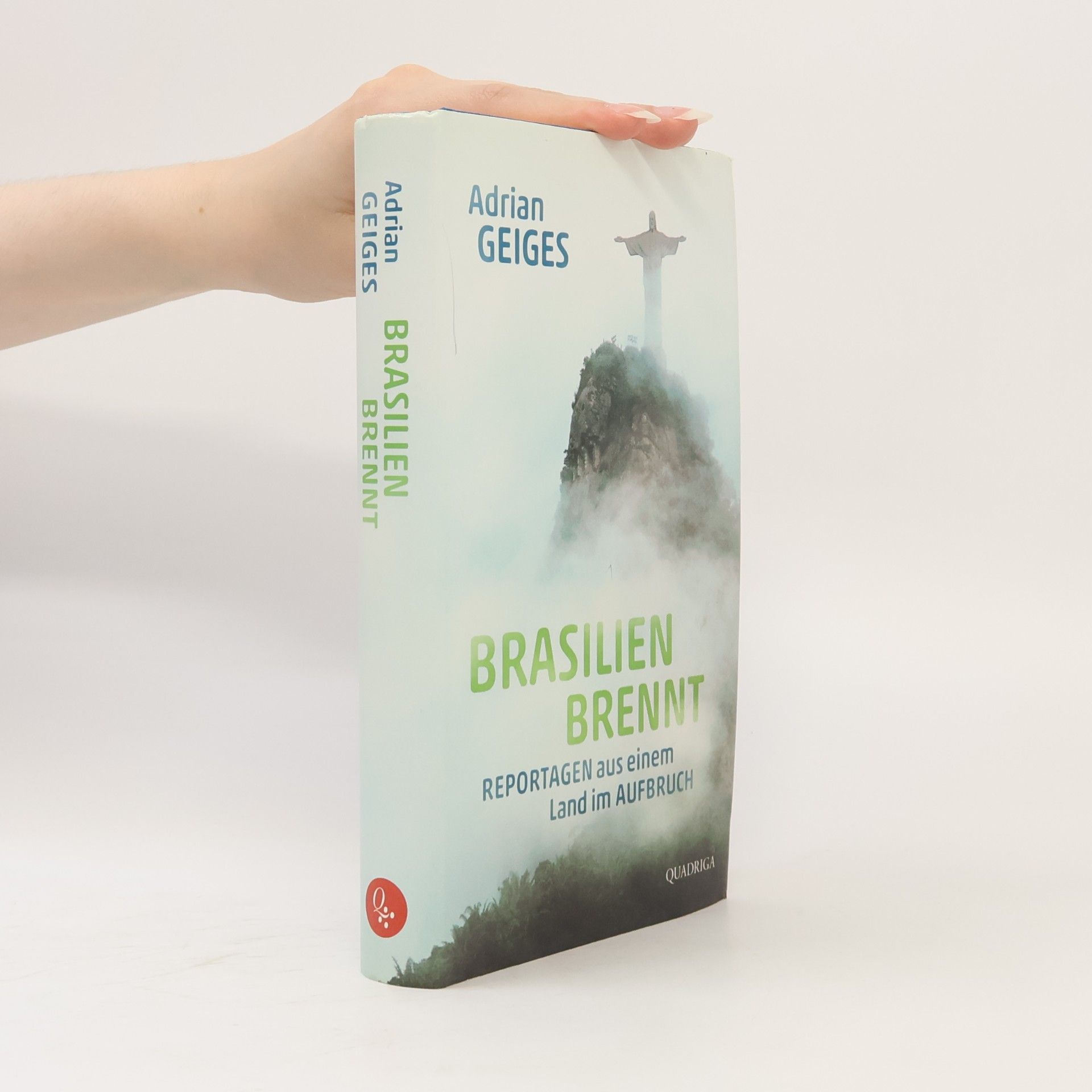Brasilien brennt